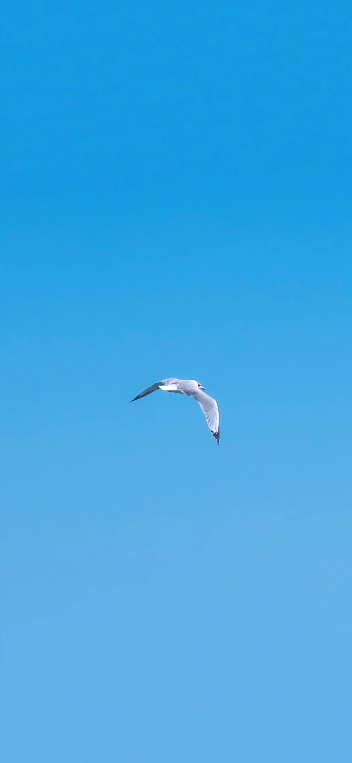 蓝色天空白云背景壁纸壁纸预览