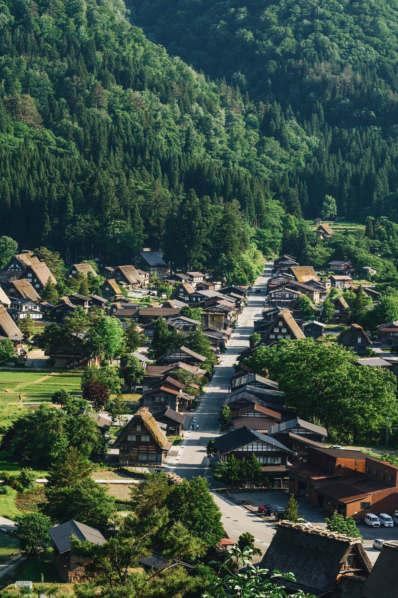 xp草地壁纸壁纸预览