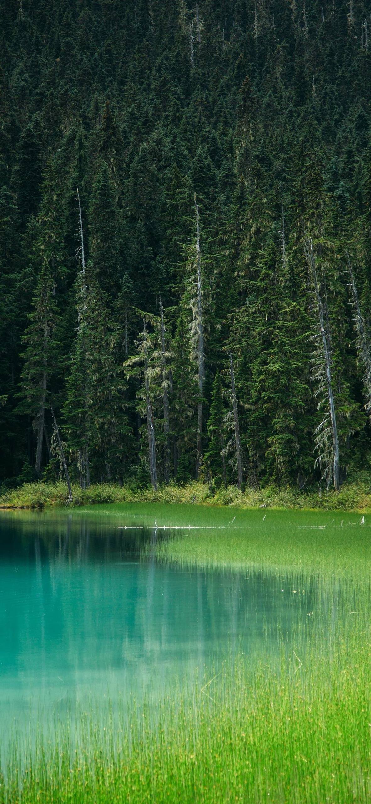 电脑桌面壁纸雪山草地壁纸预览
