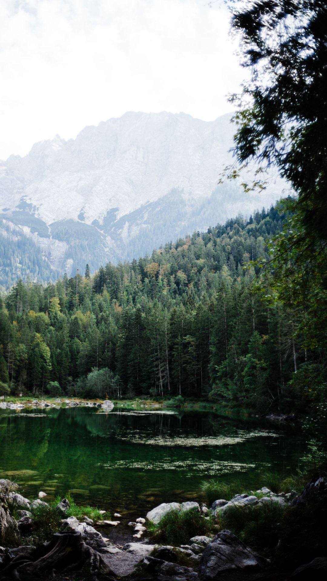 草地和水壁纸高清壁纸预览