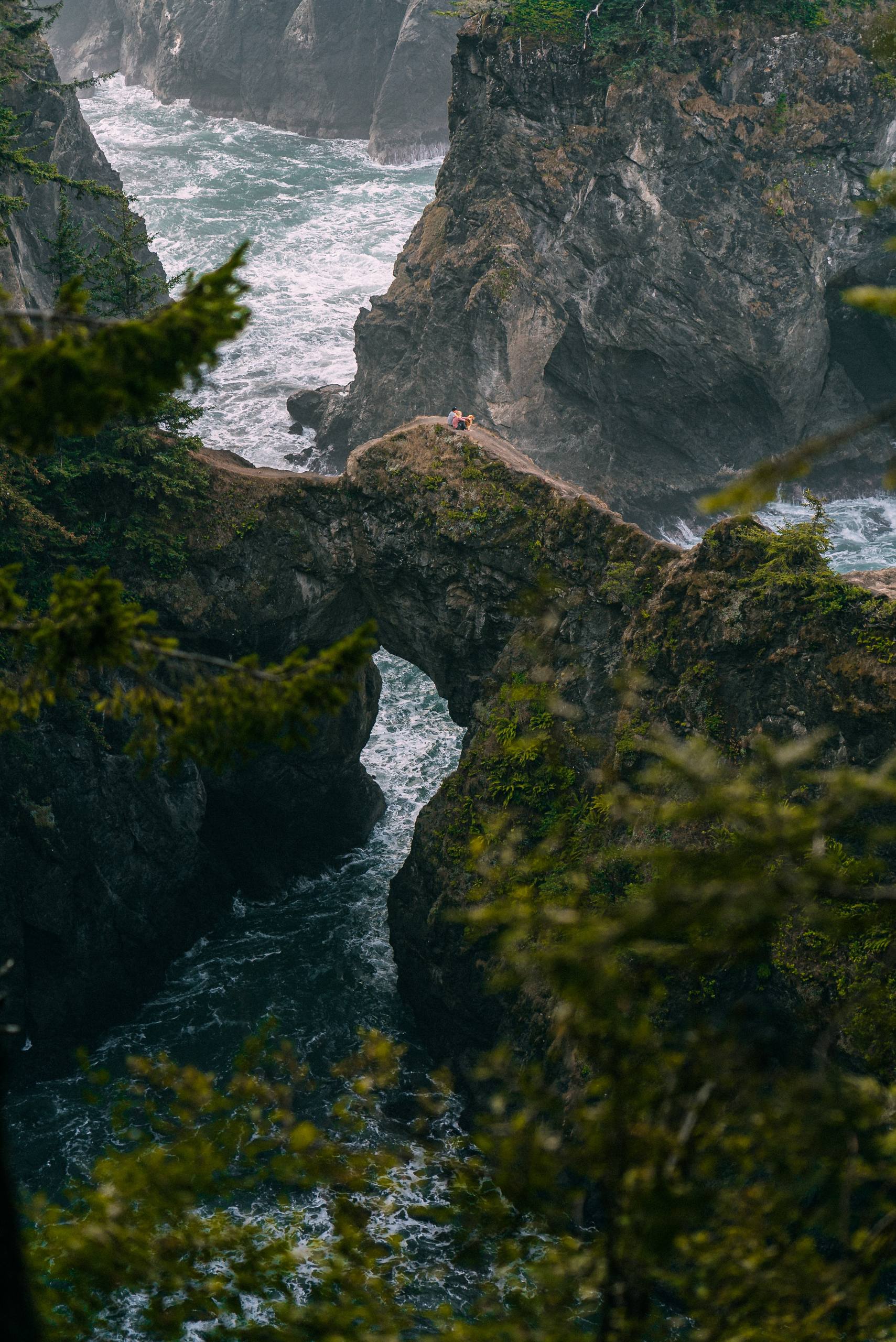 诺基亚动态壁纸草地壁纸预览