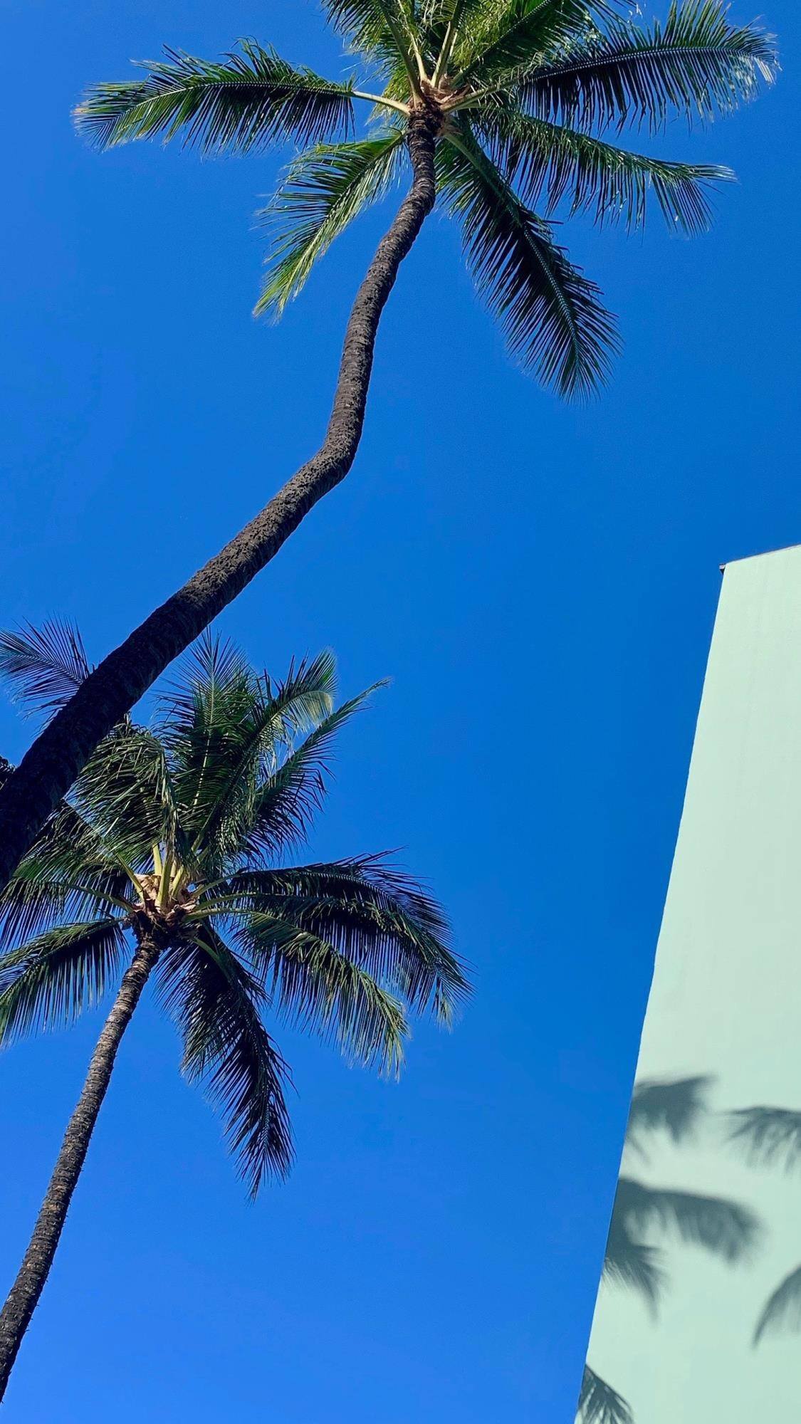 紫色壁纸星辰大海壁纸预览