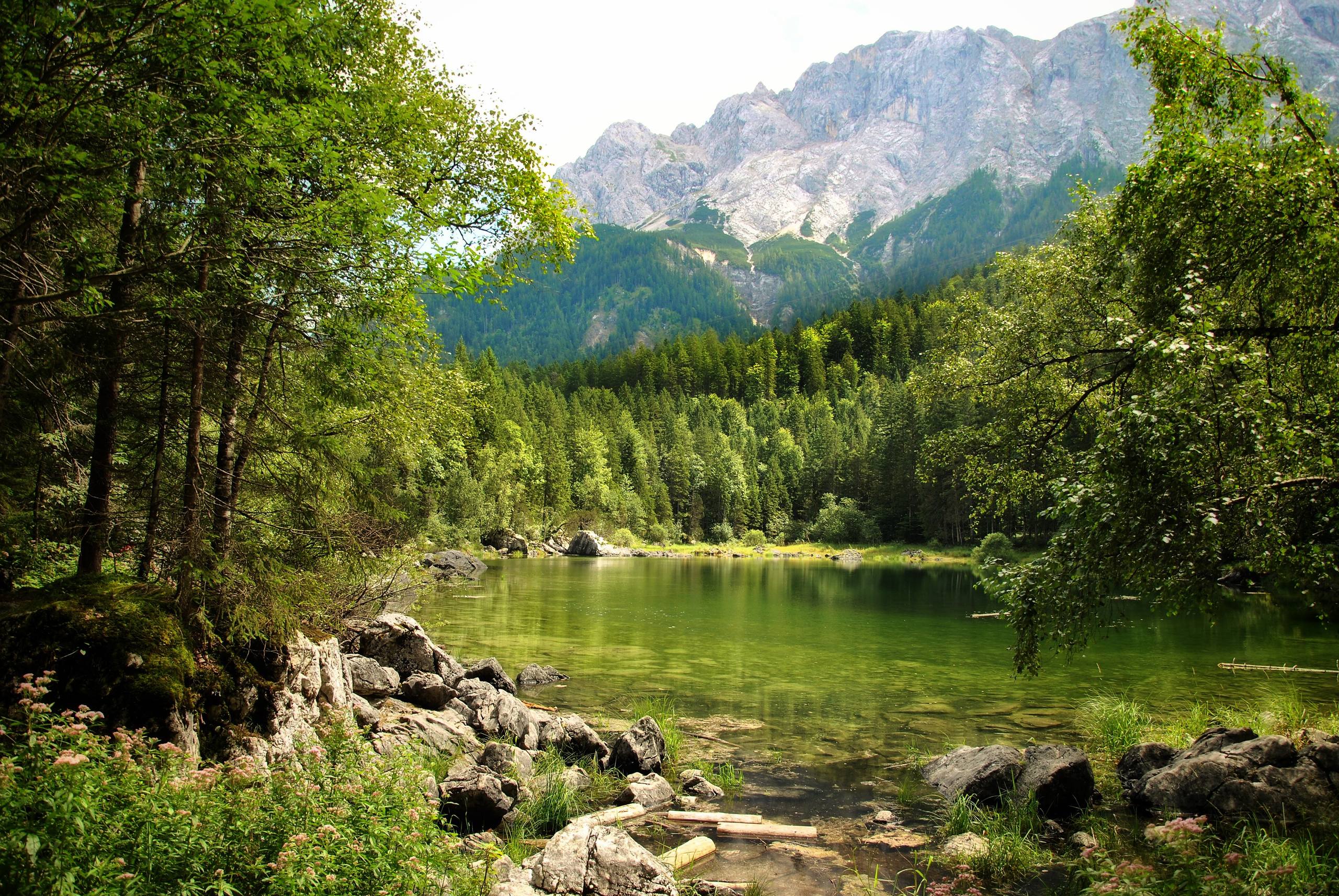 平静河流壁纸高清竖屏壁纸预览