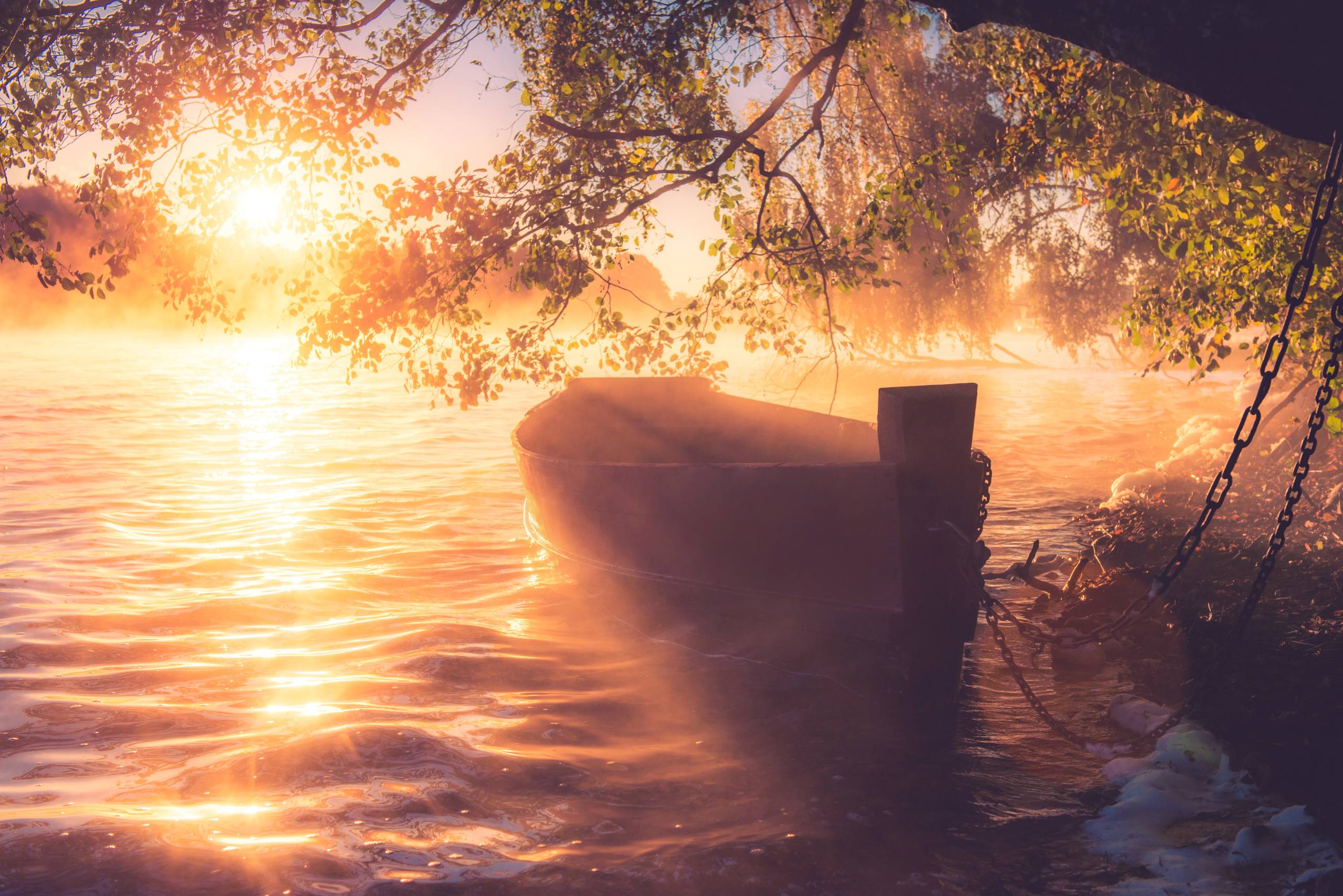 森林河流壁纸图片壁纸预览