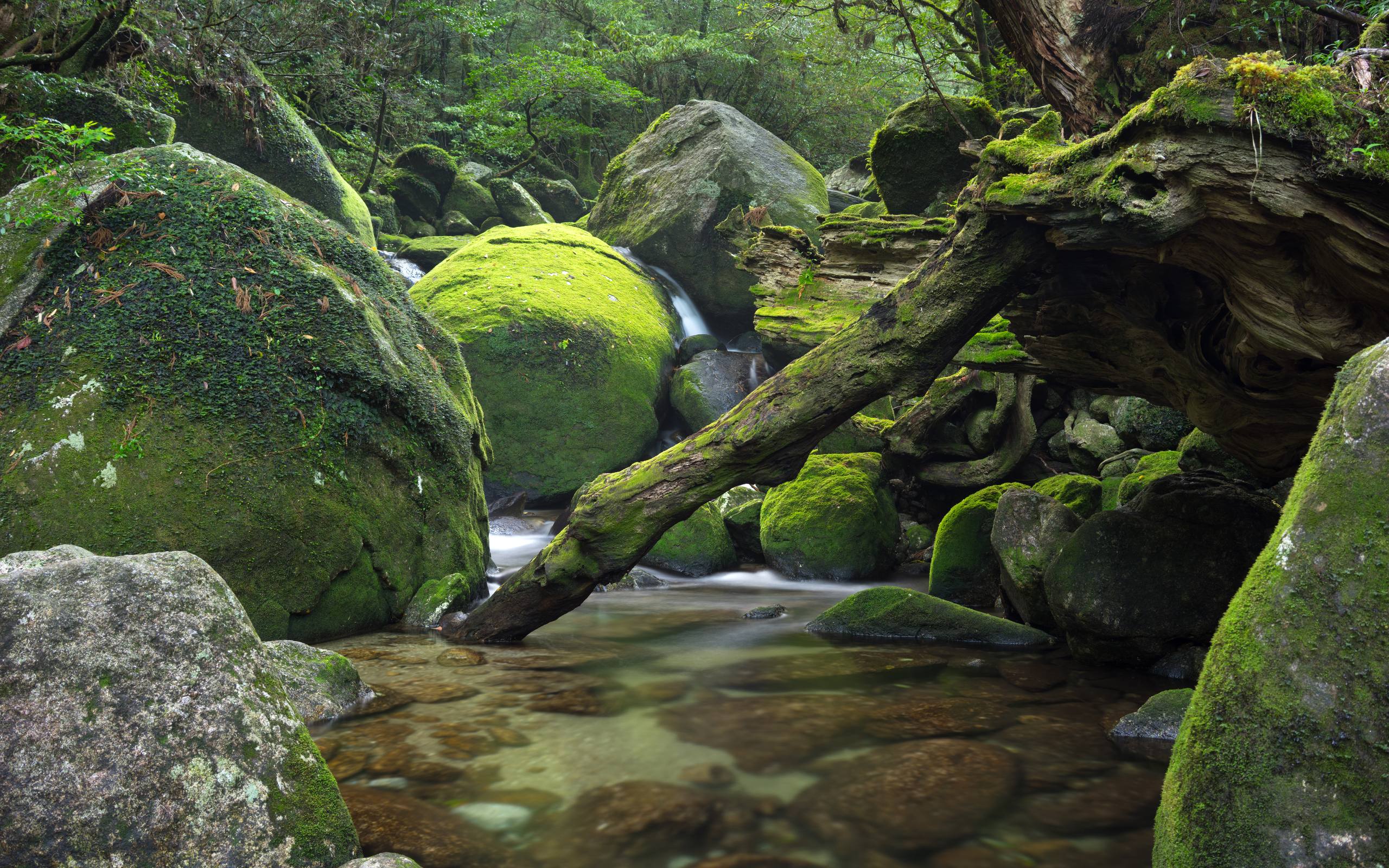 河流山川动态壁纸壁纸预览