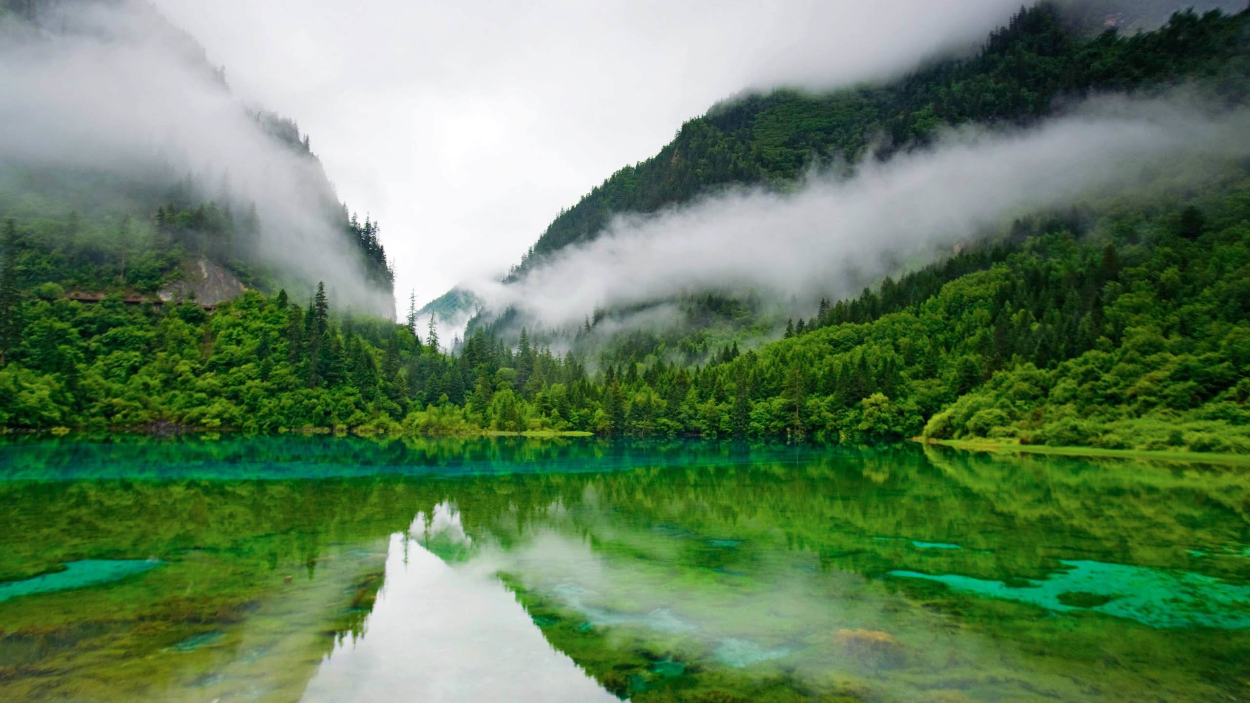 河流草原风景壁纸壁纸预览