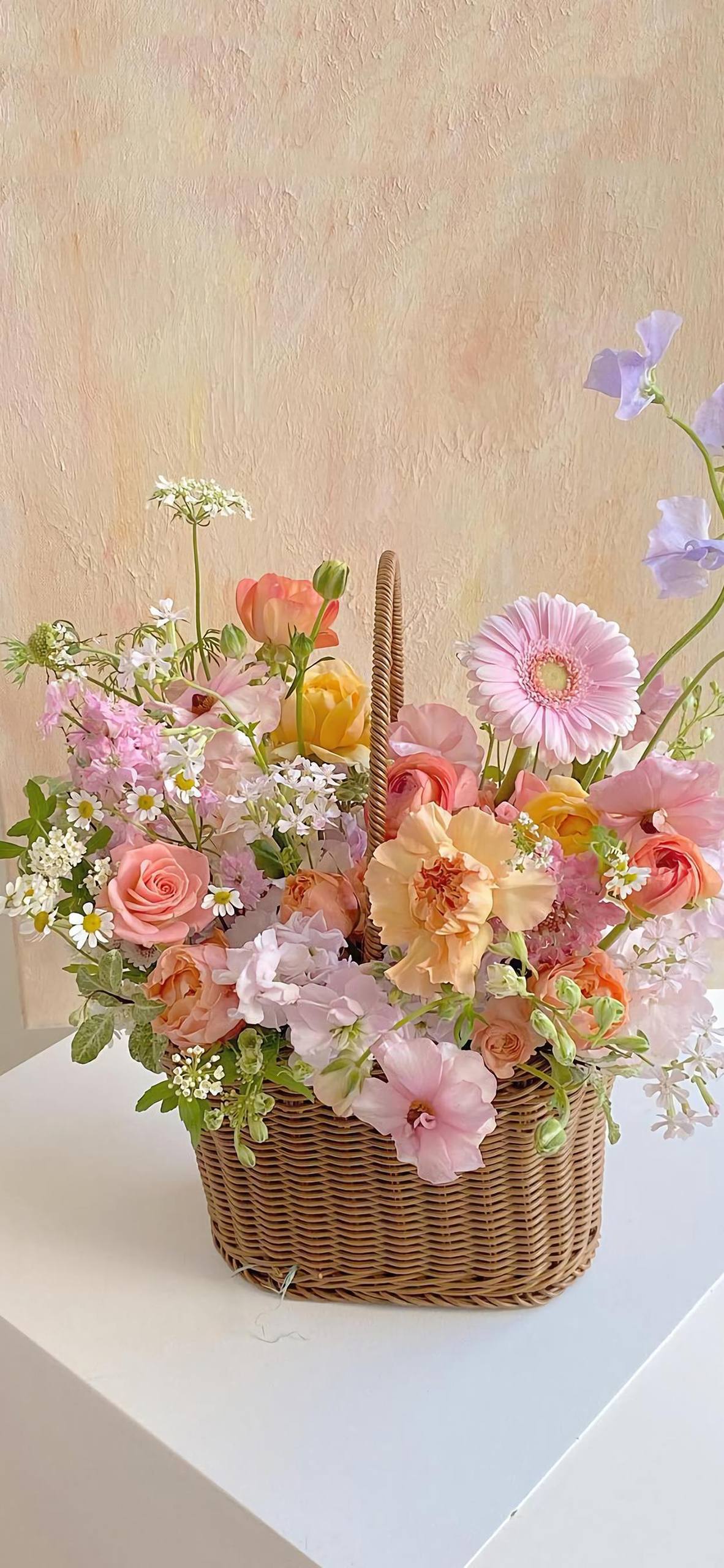 优雅花朵壁纸图文图片壁纸预览