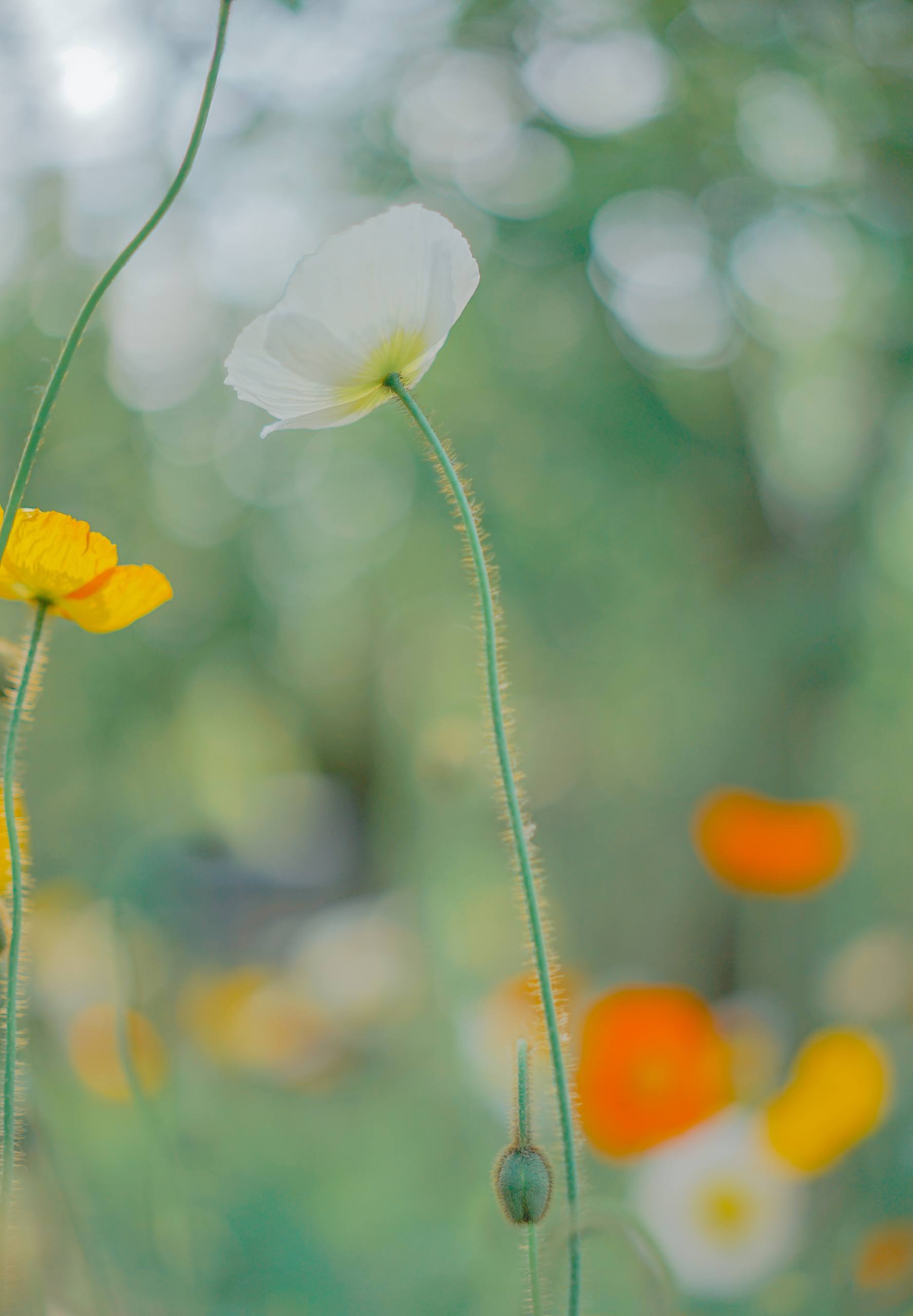像素花朵简约图片壁纸壁纸预览
