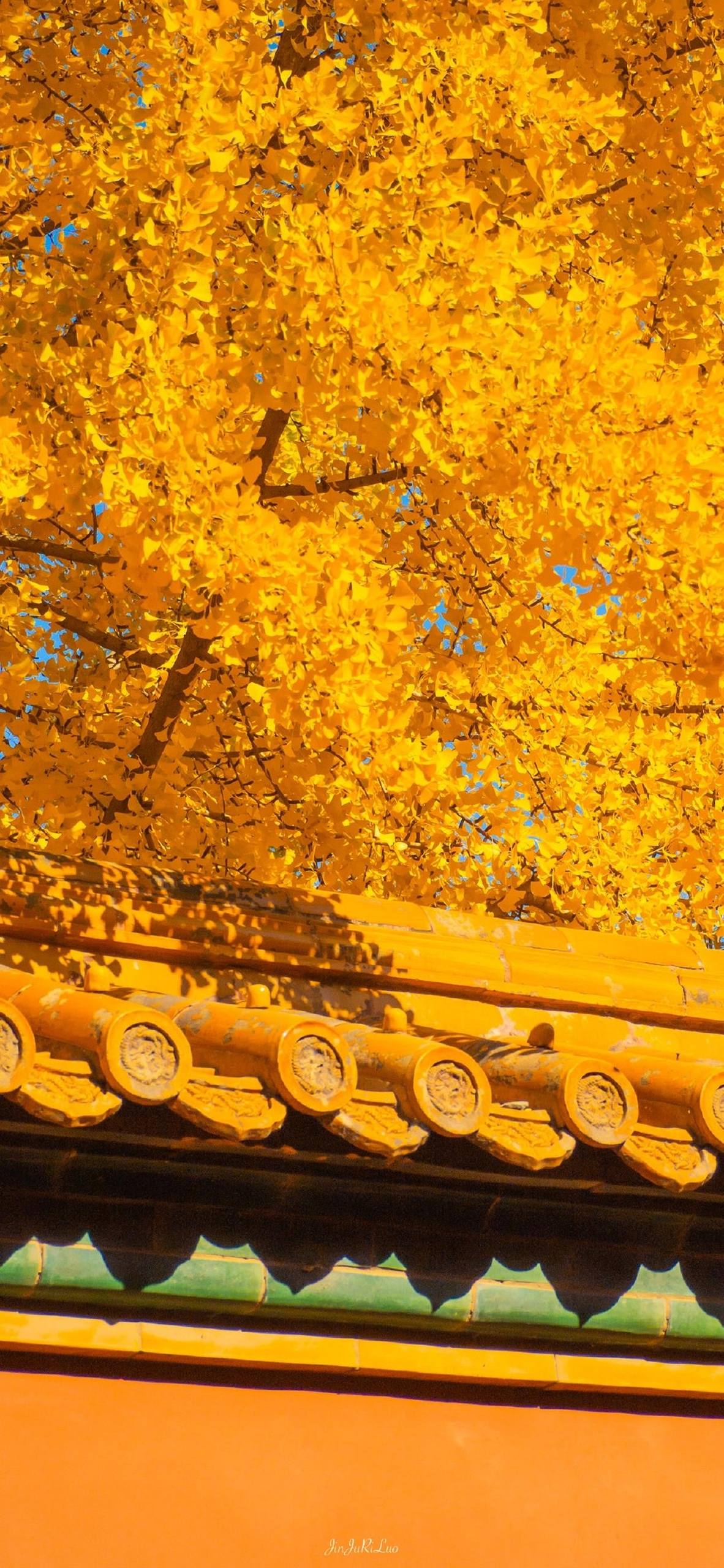 冬季粉色花朵主题壁纸壁纸预览