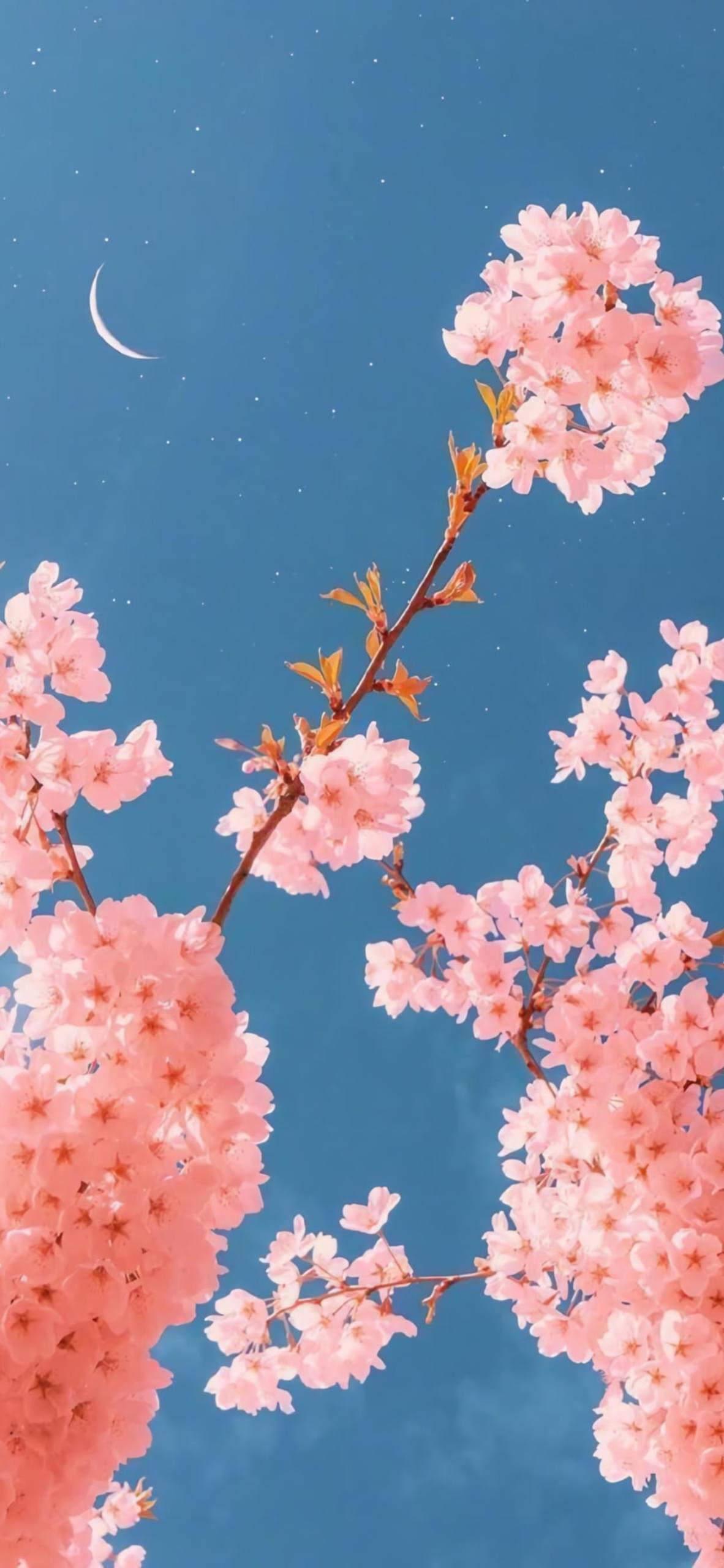 动态壁纸花朵风景全部下载壁纸预览