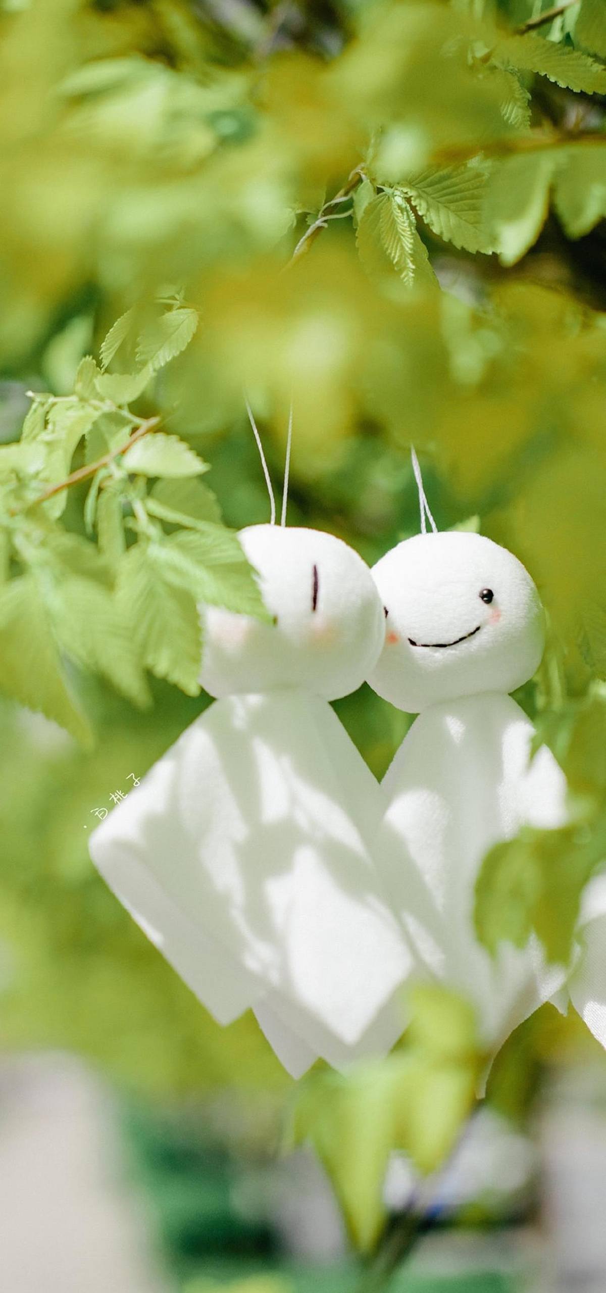 动漫花朵壁纸女壁纸预览