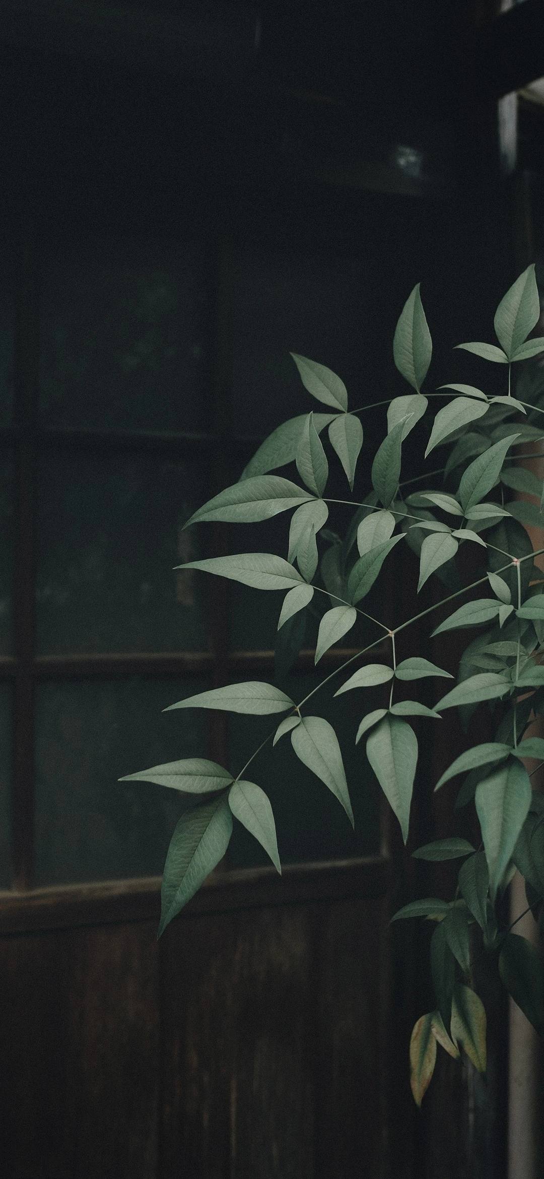 卧室壁纸自粘小花朵好吗壁纸预览