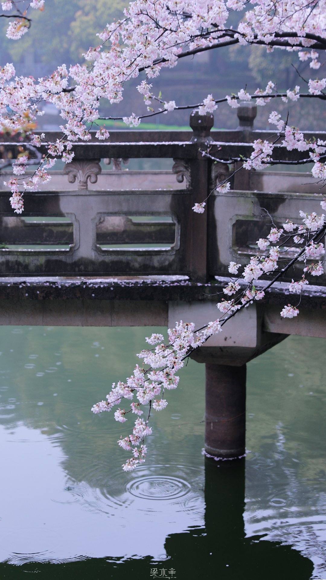 国风风景花朵壁纸壁纸预览