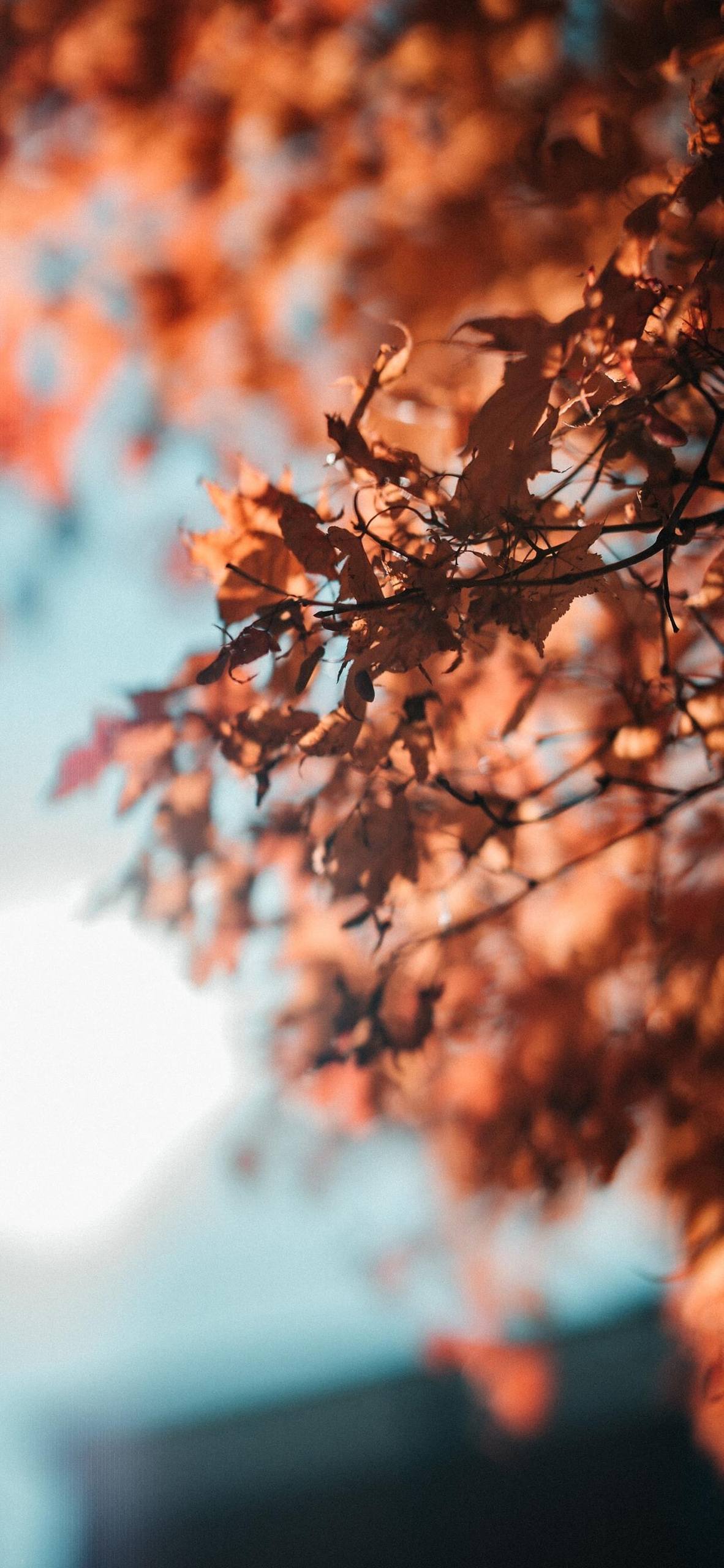 墙面彩绘花朵壁纸卡通壁纸预览