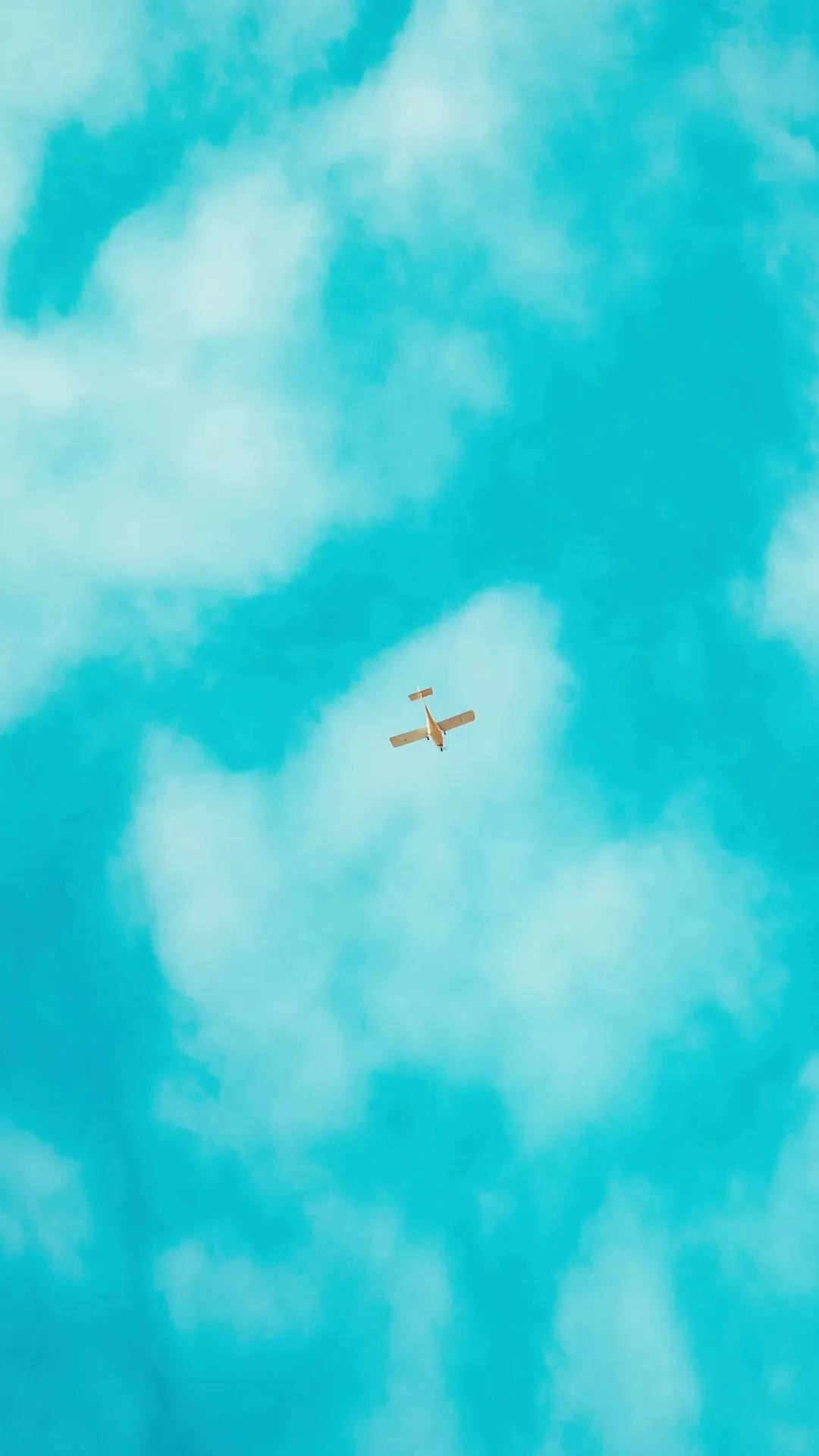 壁纸女生治愈花朵动漫版壁纸预览