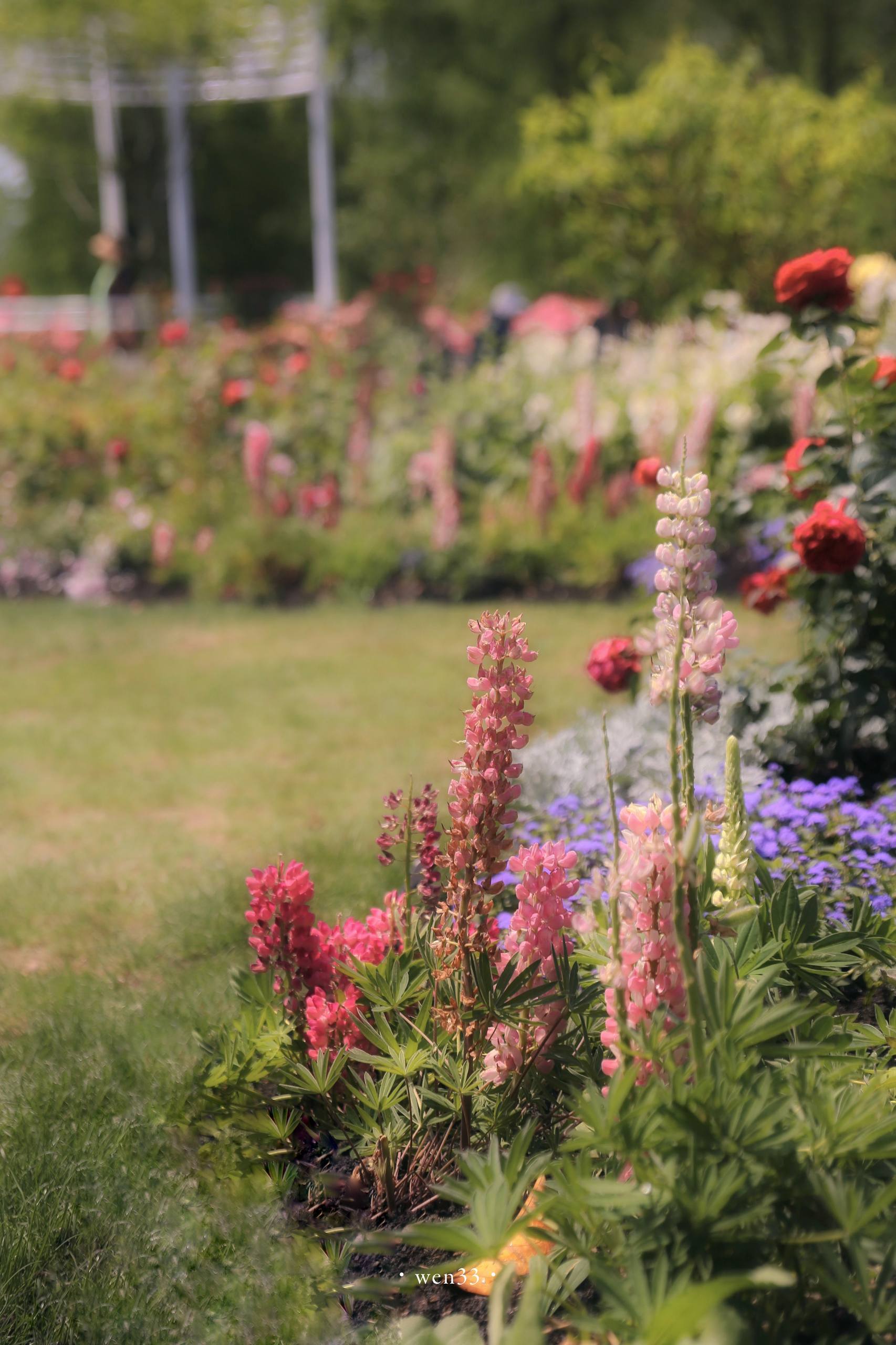 壁纸清新花朵图集壁纸预览