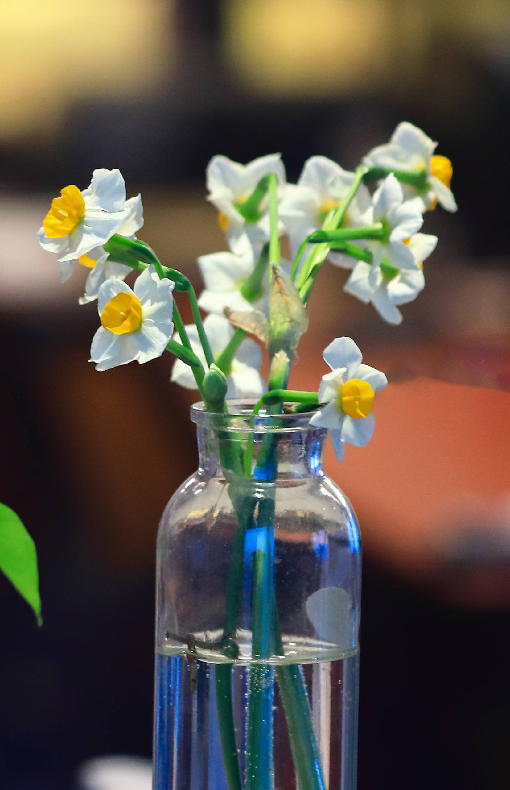 壁纸花朵小雏菊简约壁纸预览