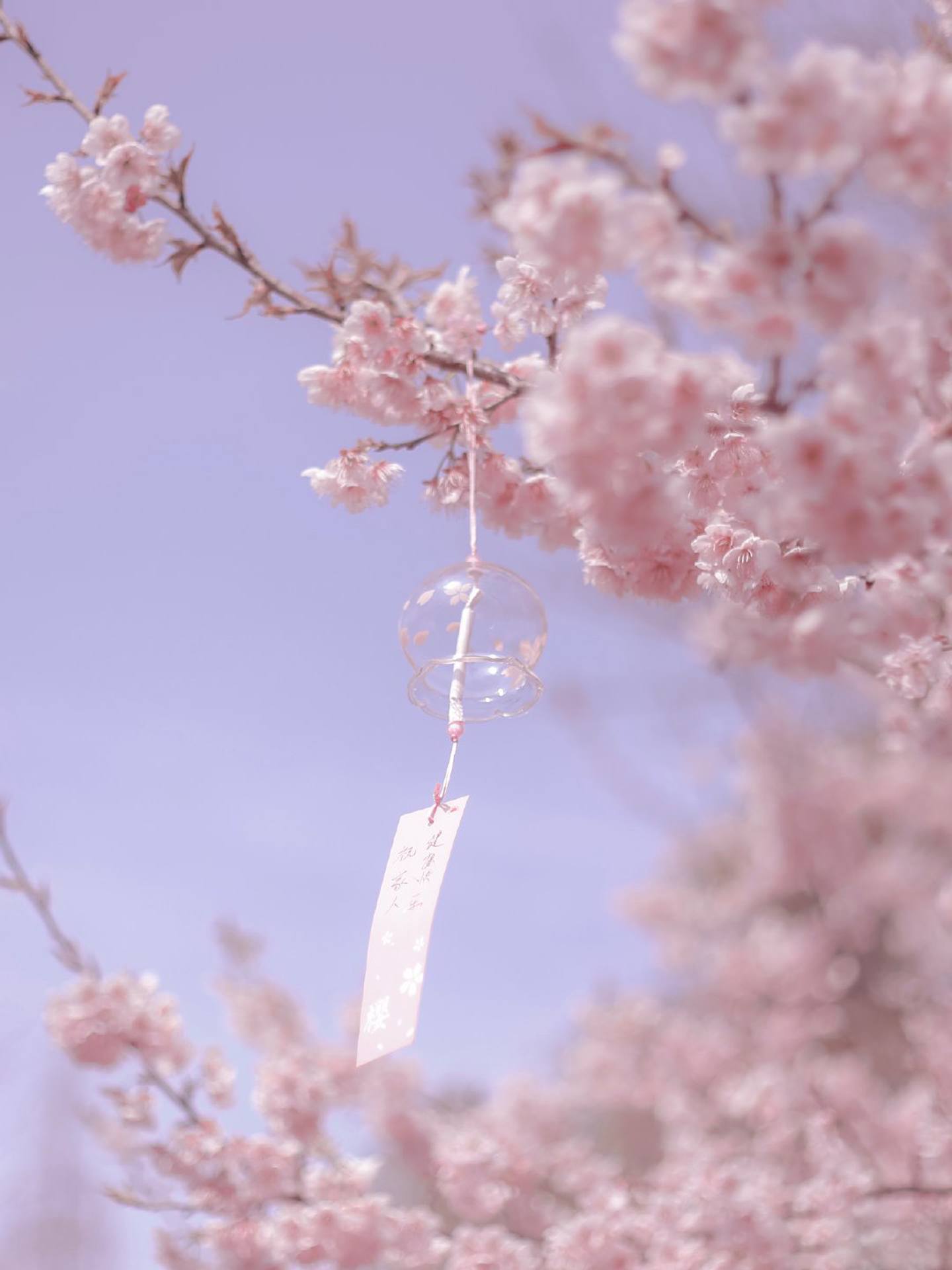 壁纸金光闪闪的花朵图片壁纸预览