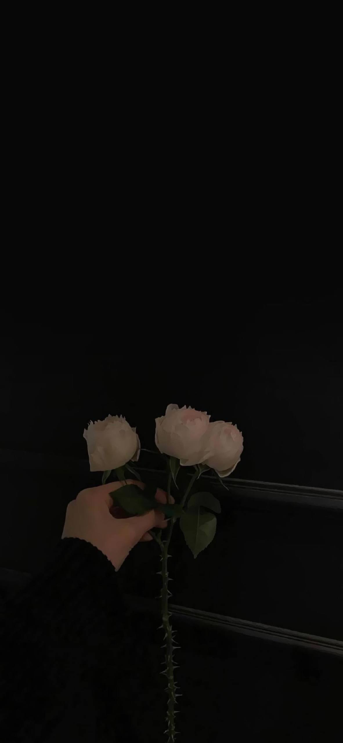 壁纸高清全屏高级感花朵鲜艳壁纸预览