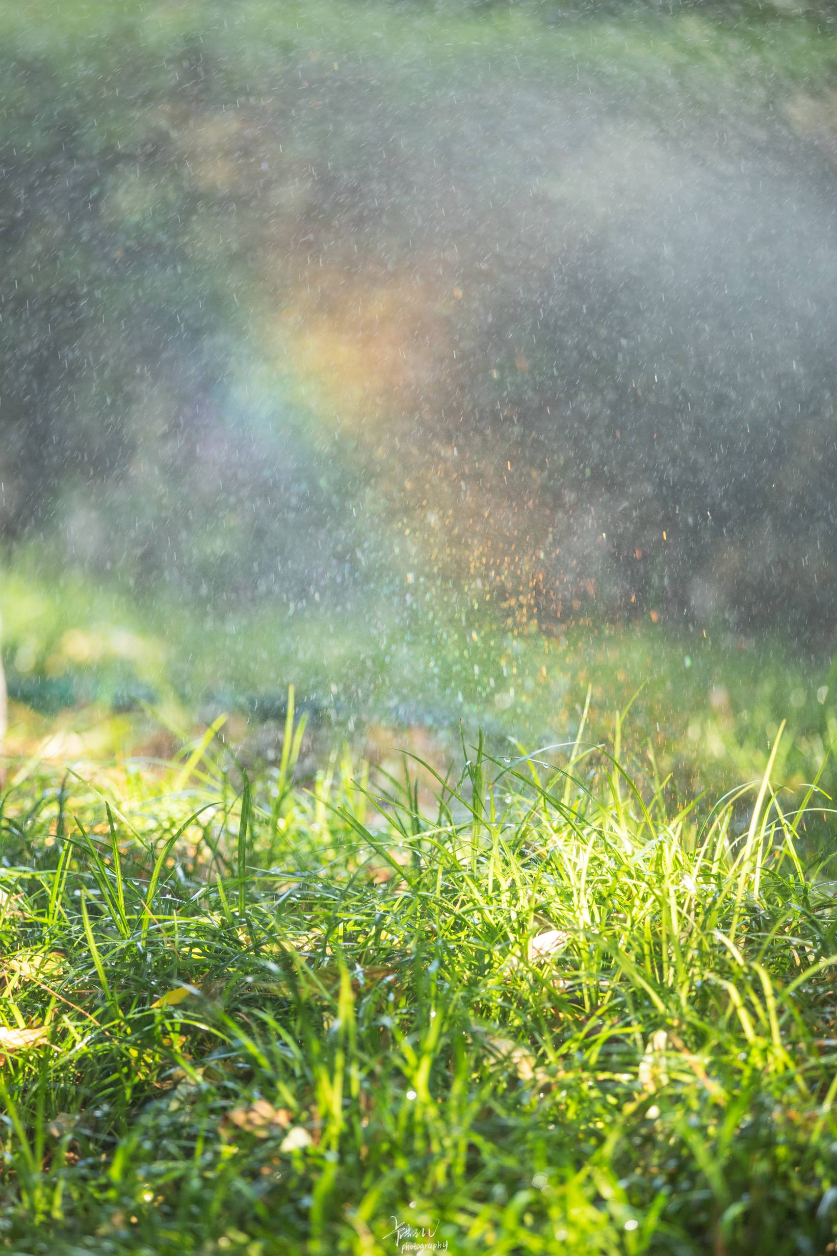 大红色系花朵壁纸图片大全壁纸预览