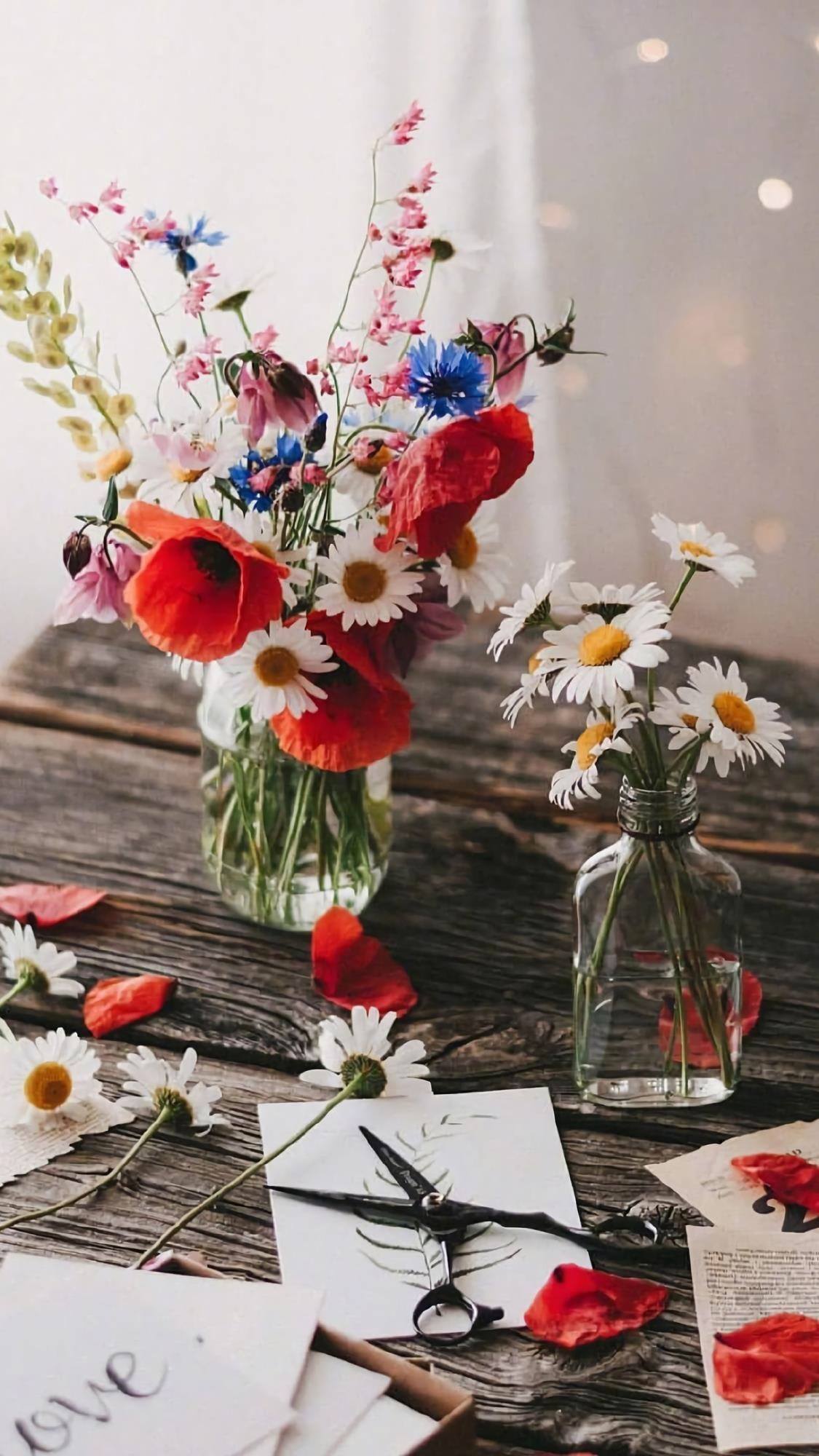 好看花朵电脑壁纸壁纸预览