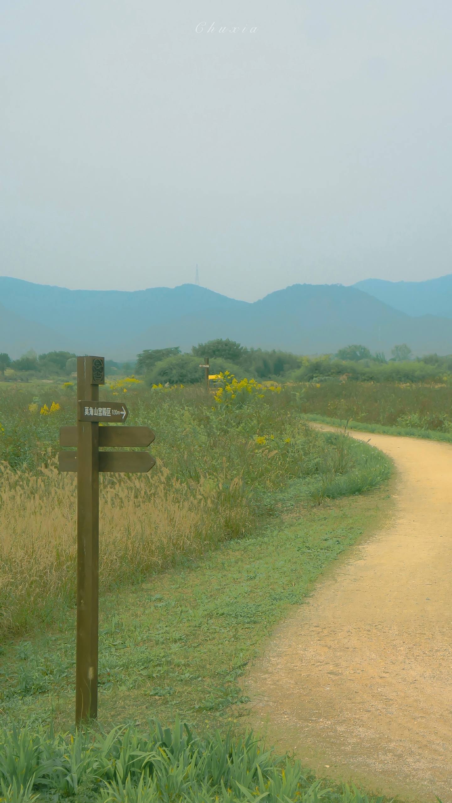 婚房布置有壁纸花朵壁纸预览