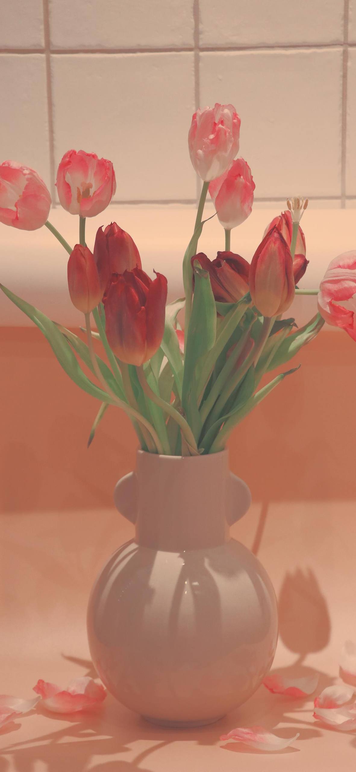 孤独的花朵壁纸动漫图片壁纸预览