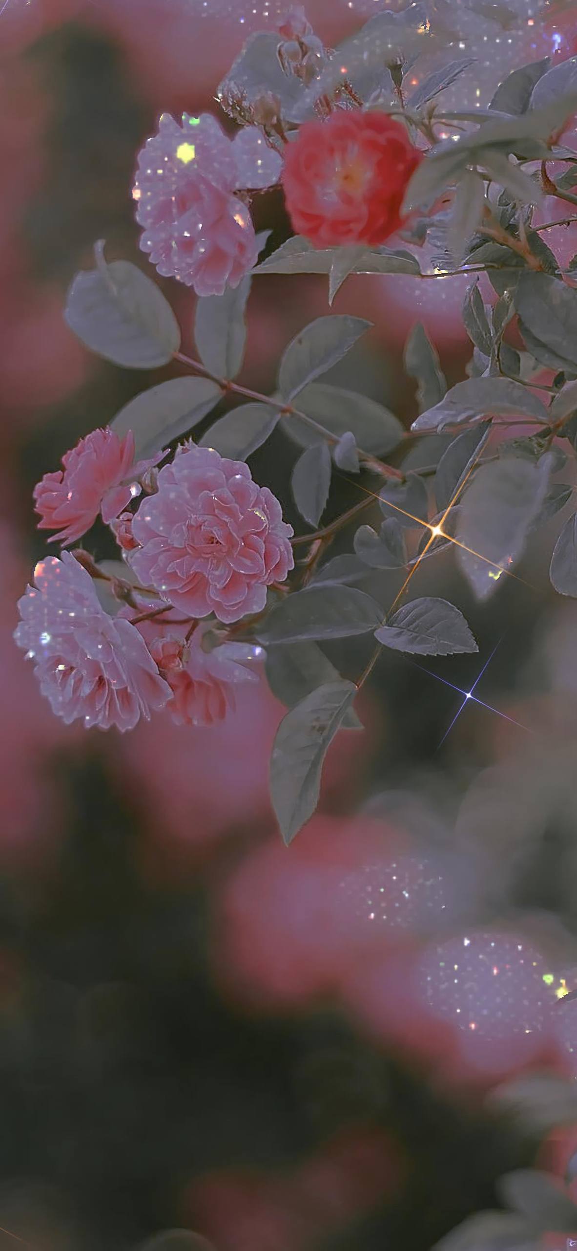 巧克力和花朵壁纸壁纸预览