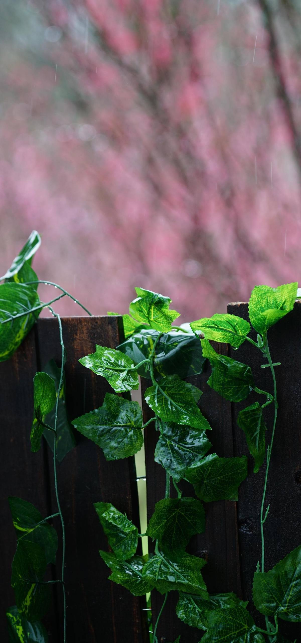 巧手串珠花朵壁纸郁金香壁纸预览