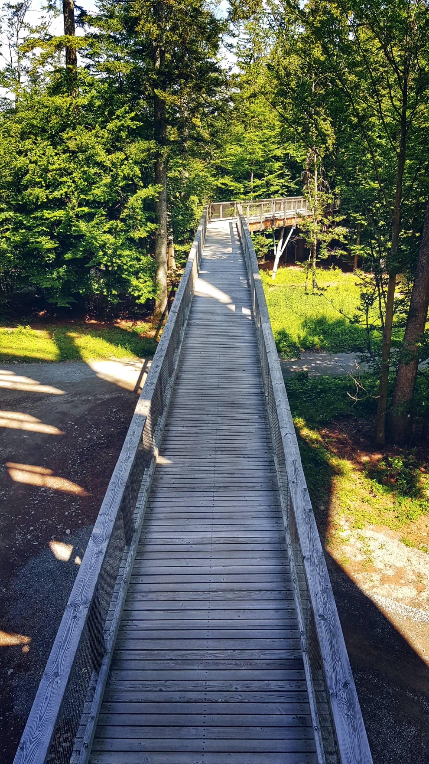 带在手上的花朵壁纸壁纸预览