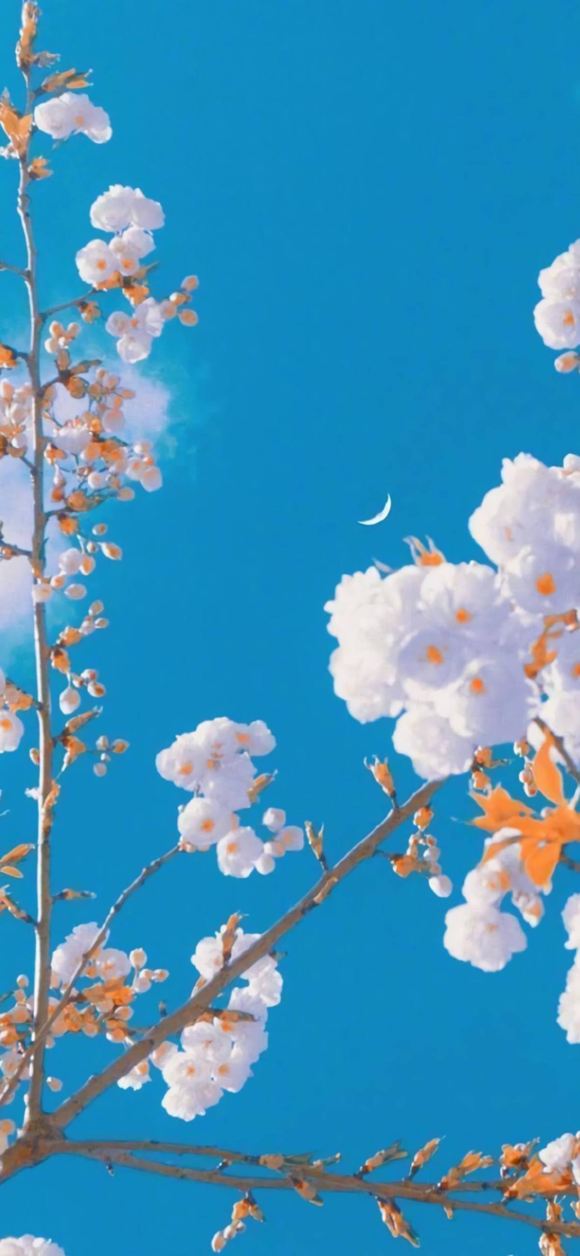 平板壁纸花朵图片图文壁纸预览