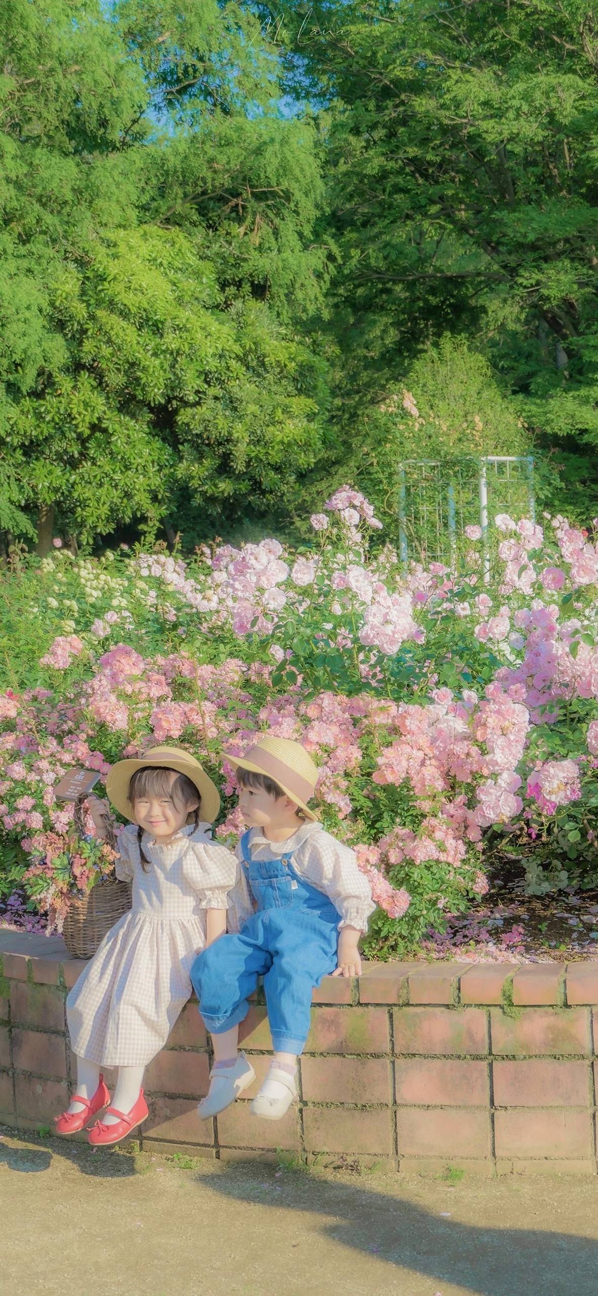 怎么用纸折好看花朵壁纸壁纸预览
