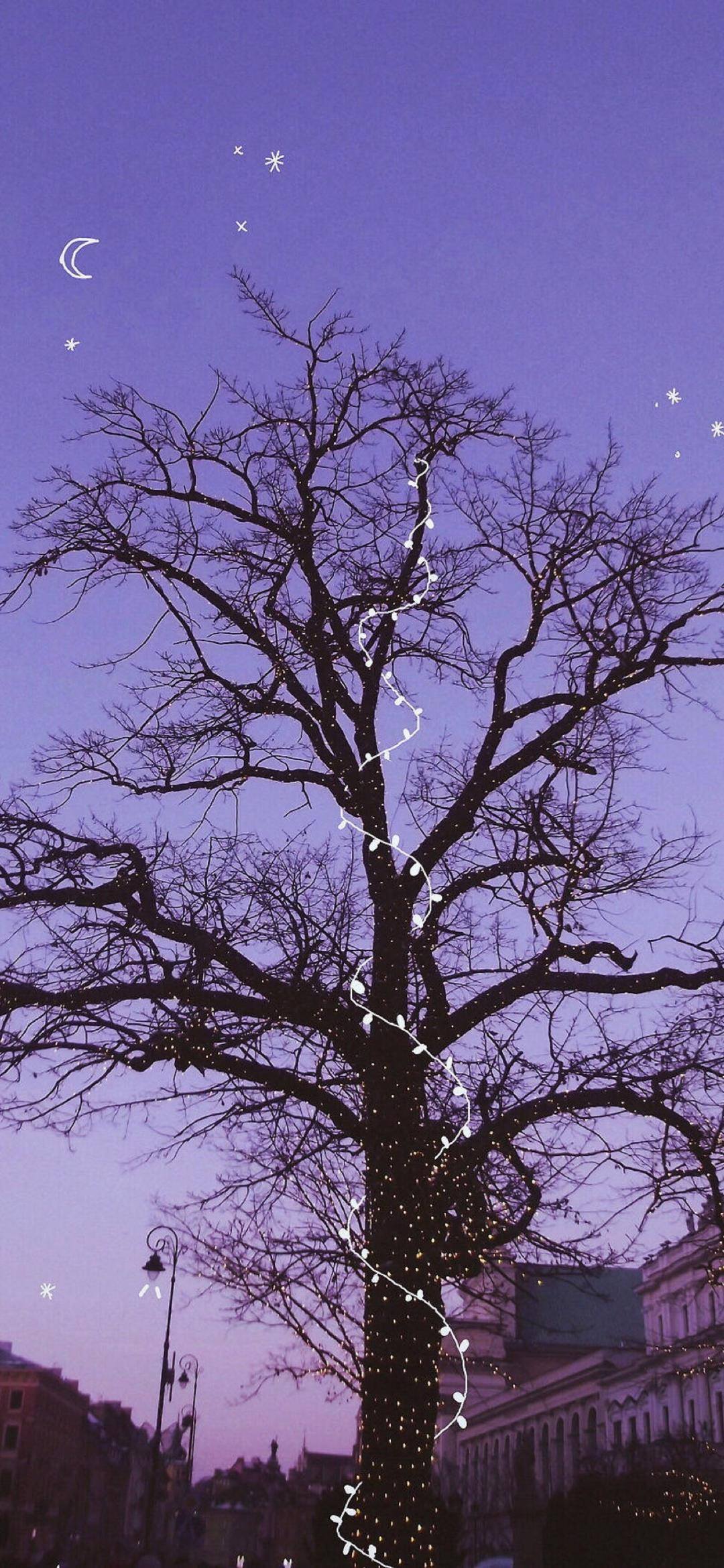 手机壁纸图片花朵图片壁纸预览