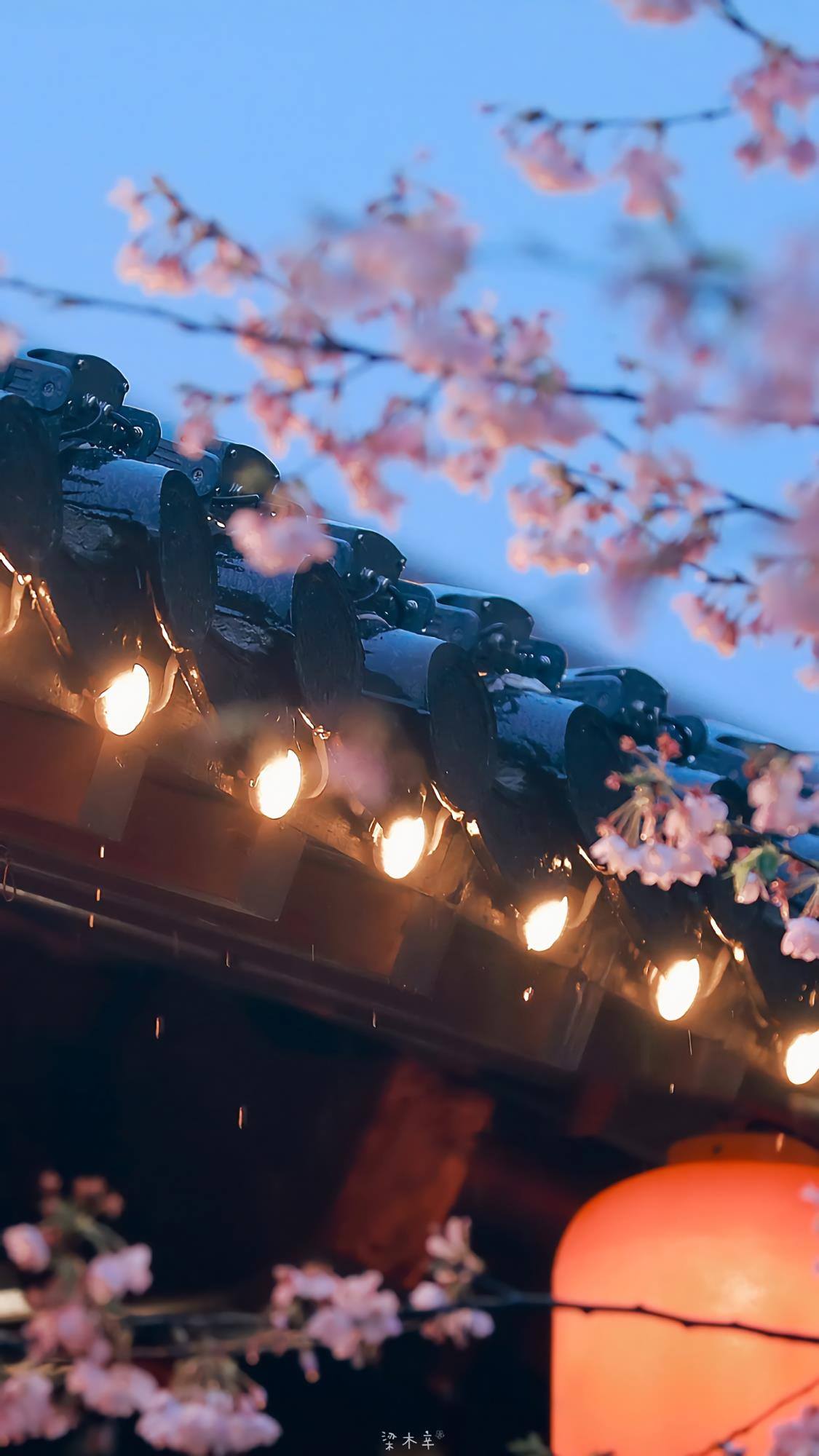 手机壁纸紫色花朵插画女壁纸预览