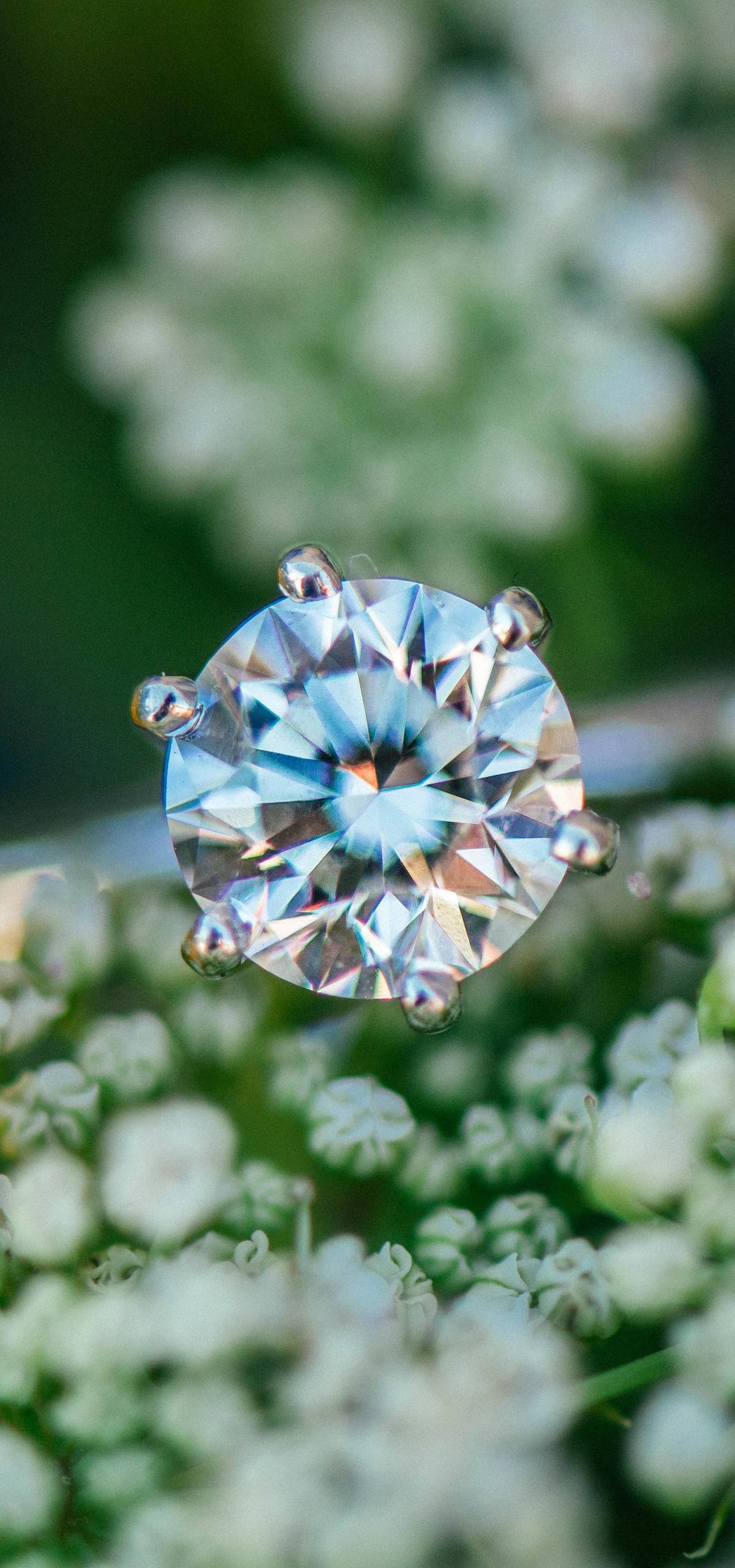 护眼壁纸花朵满屏唯美壁纸预览