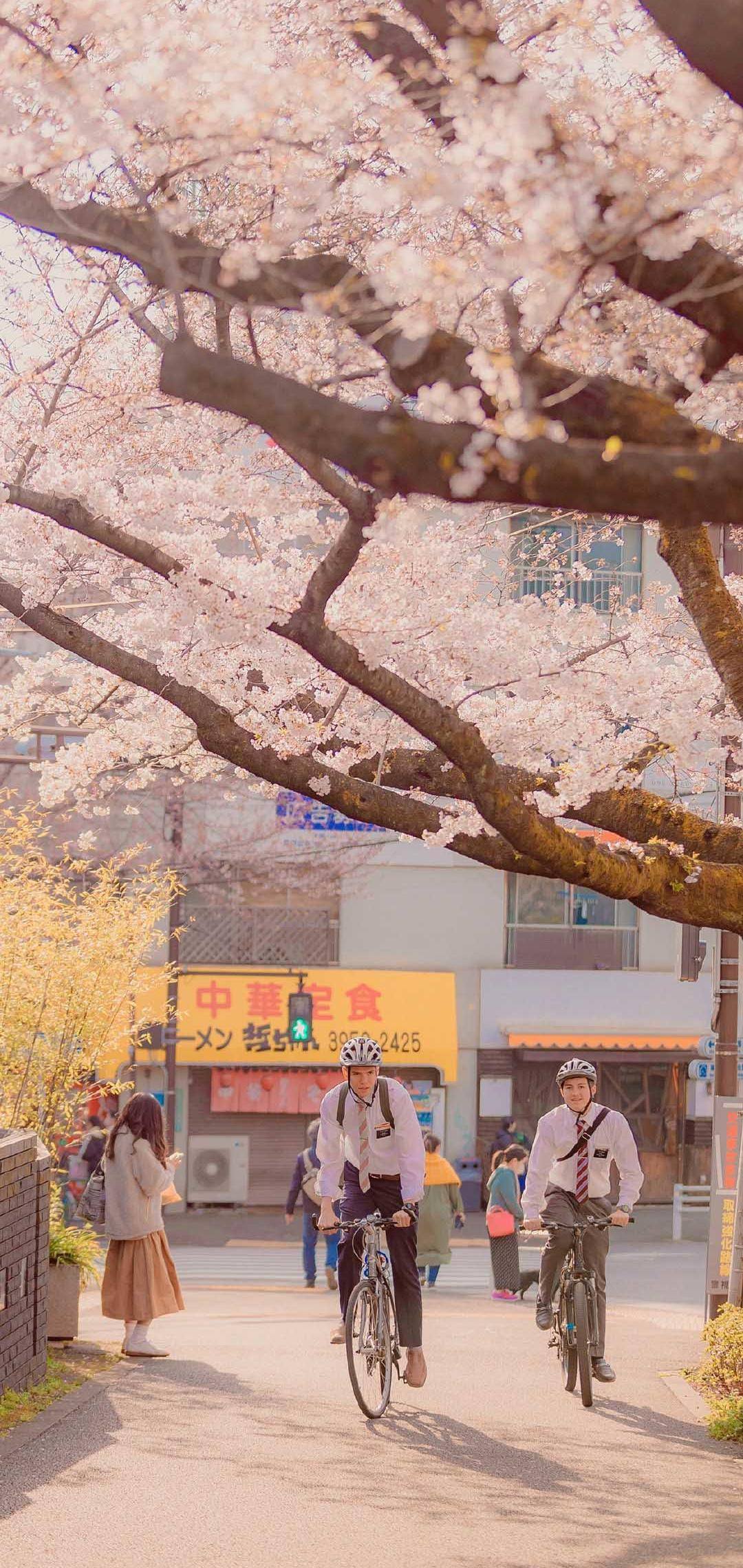 插画壁纸治愈花朵女孩子壁纸预览