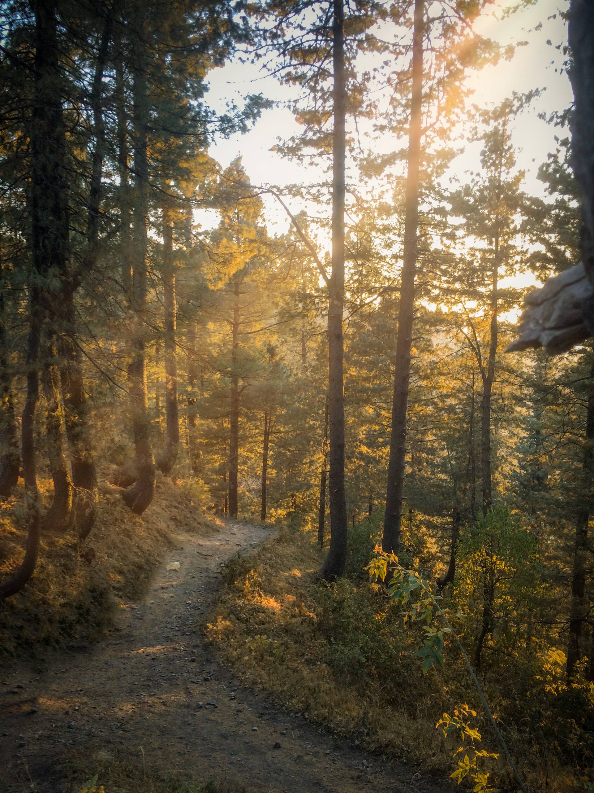 方格花朵壁纸高清壁纸预览