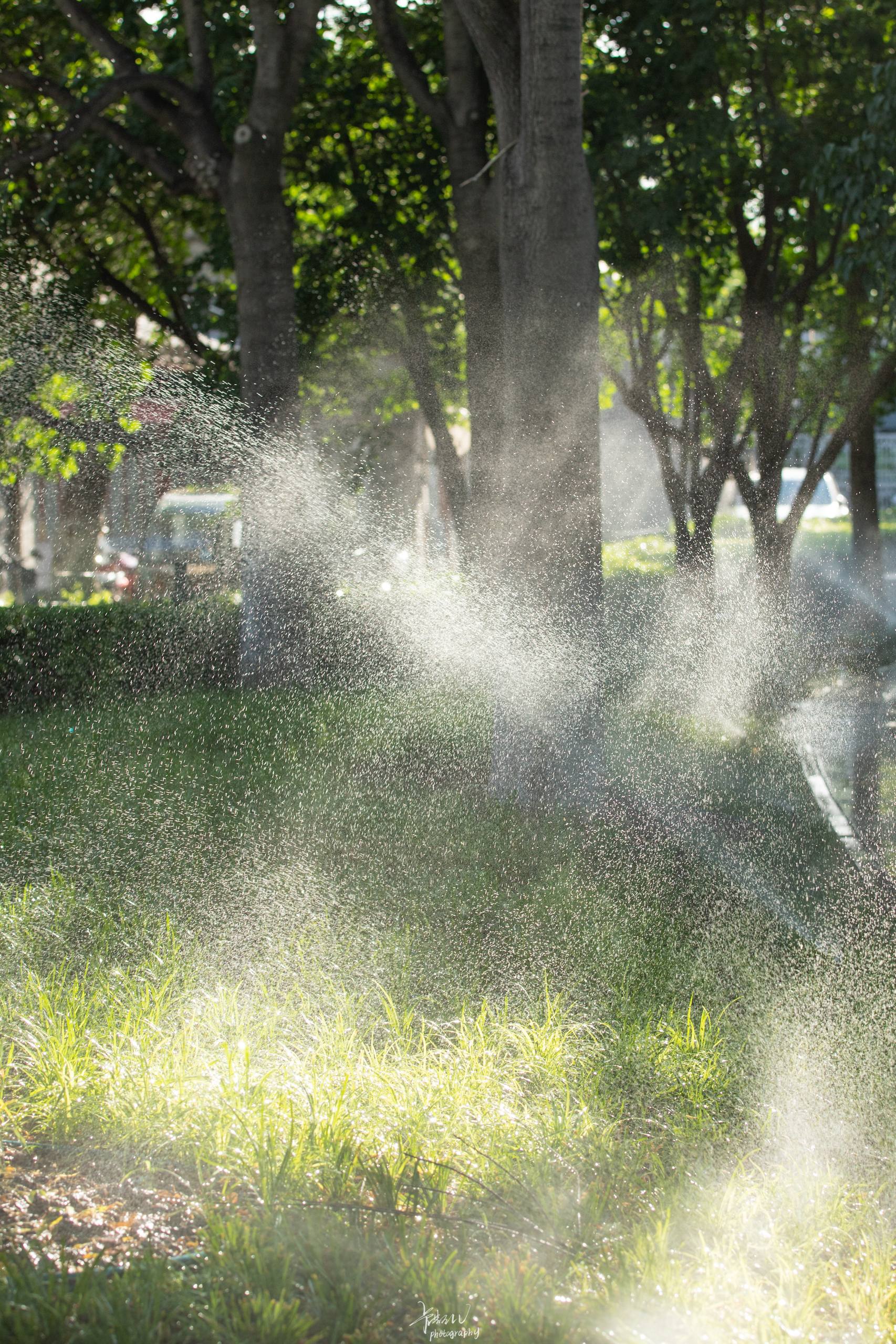 最好看的花朵壁纸壁纸预览