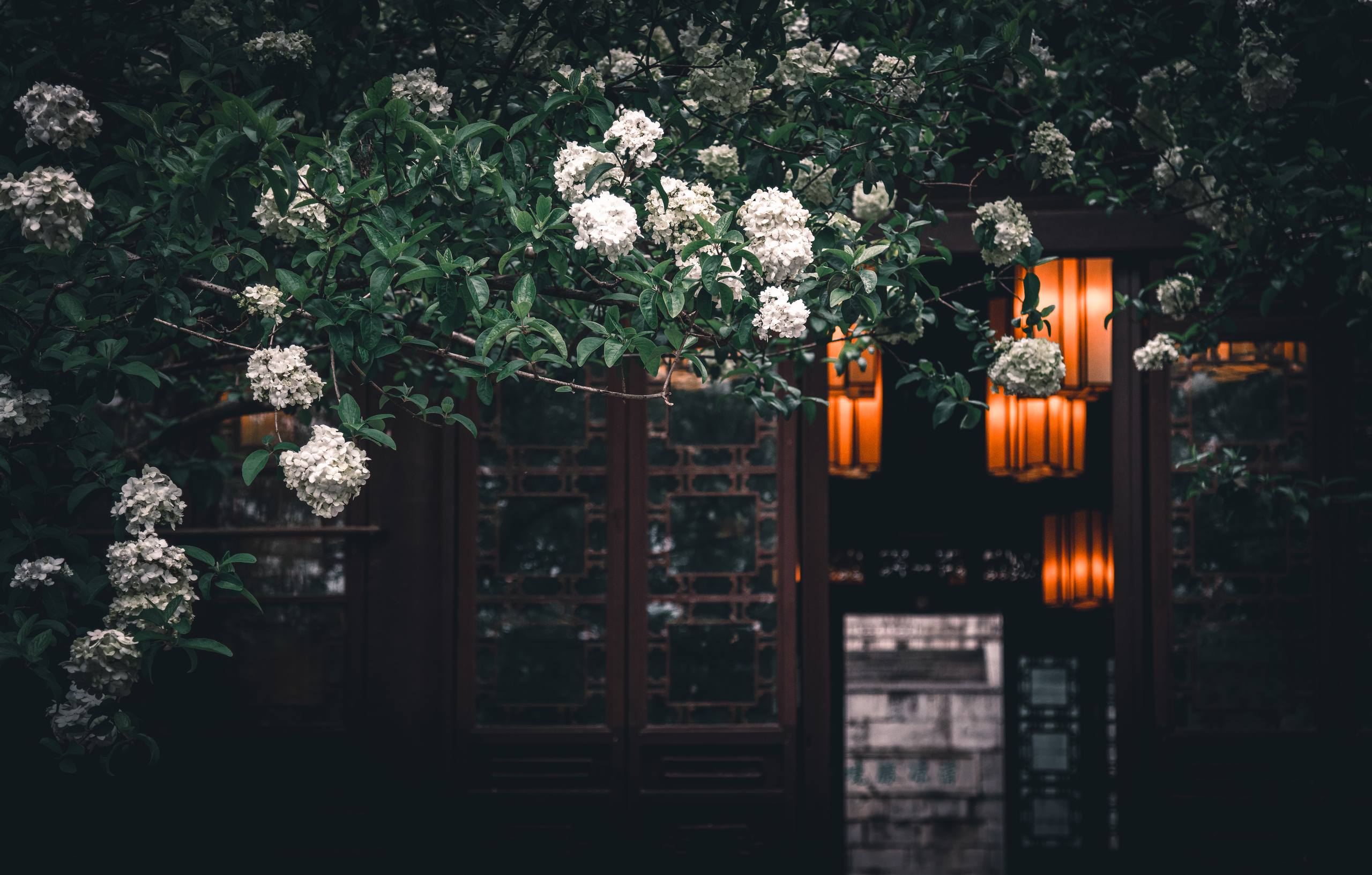 涂鸦花朵壁纸油画蓝色壁纸预览