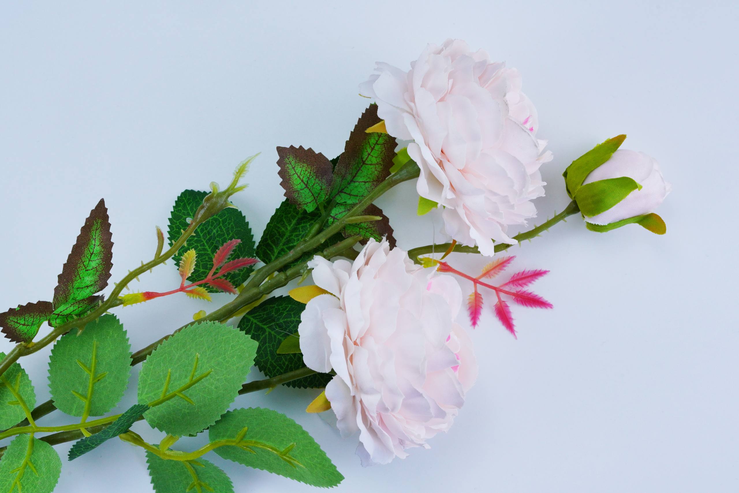 绿屏花朵壁纸高清壁纸预览
