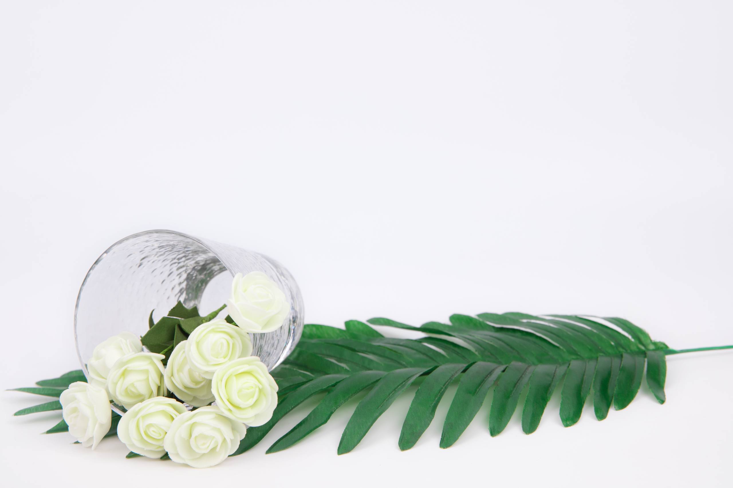 花朵壁纸高级壁纸预览