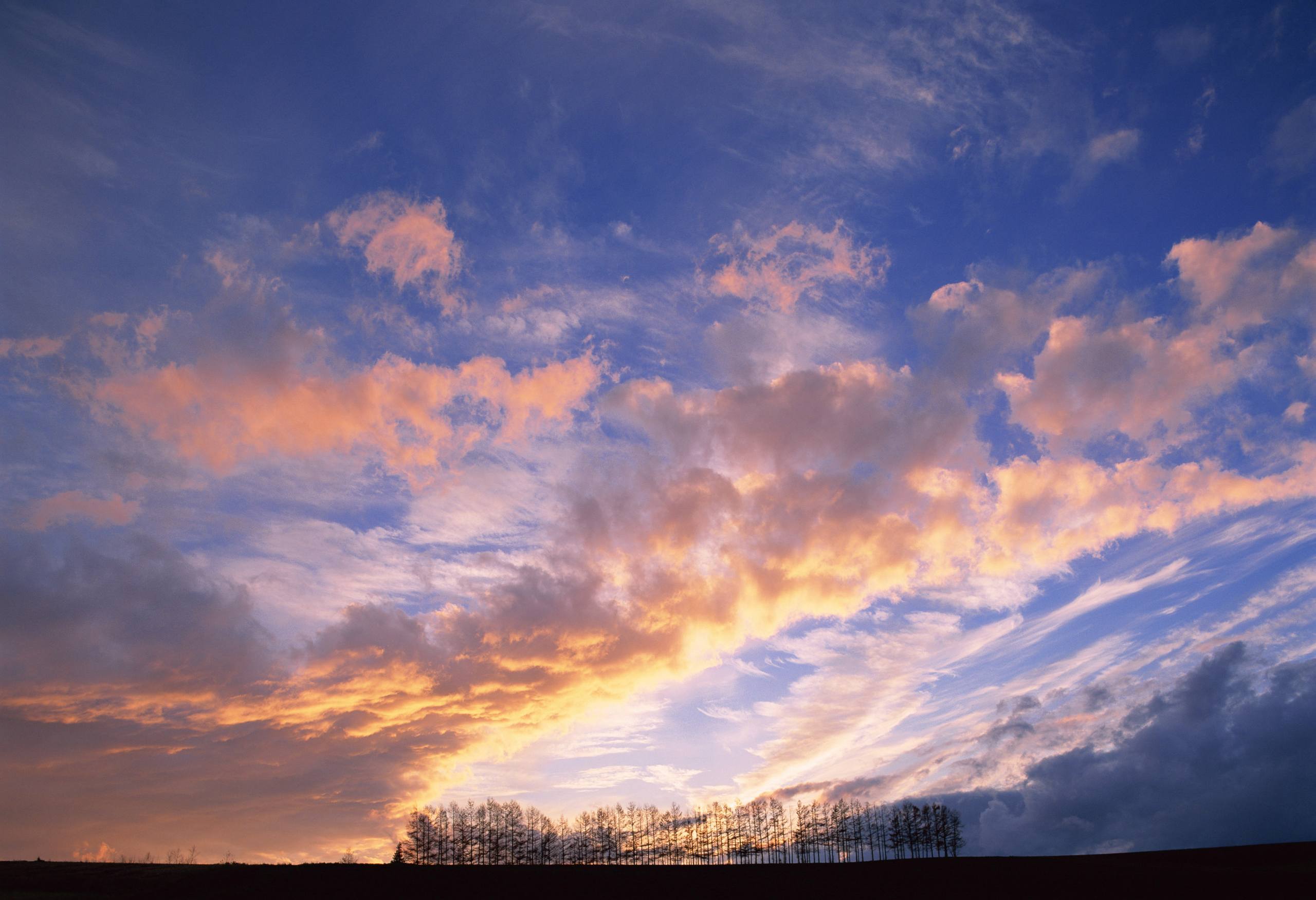 光遇壁纸日落图片治愈壁纸预览