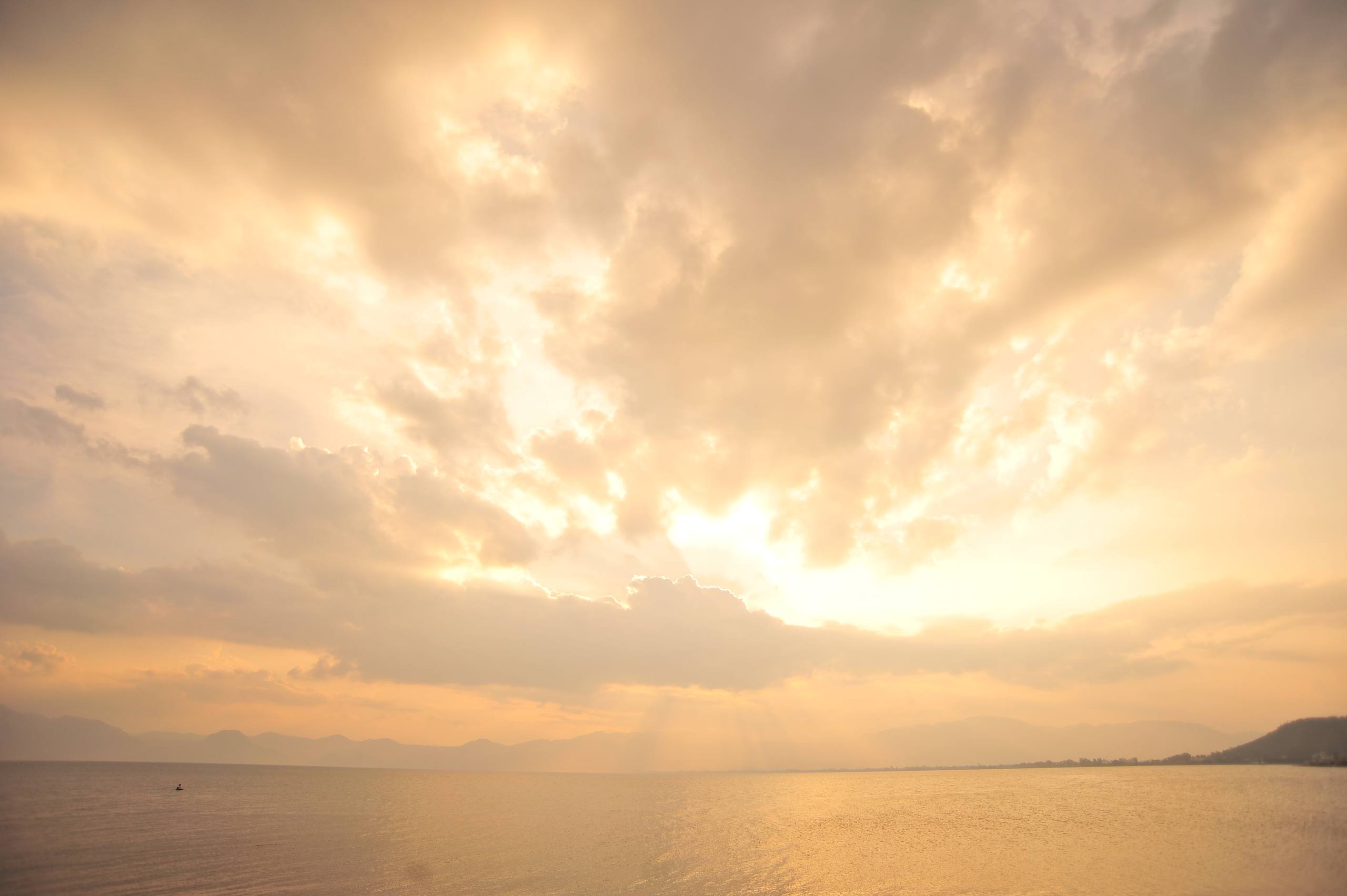 剪影猫壁纸日落图片大全壁纸预览