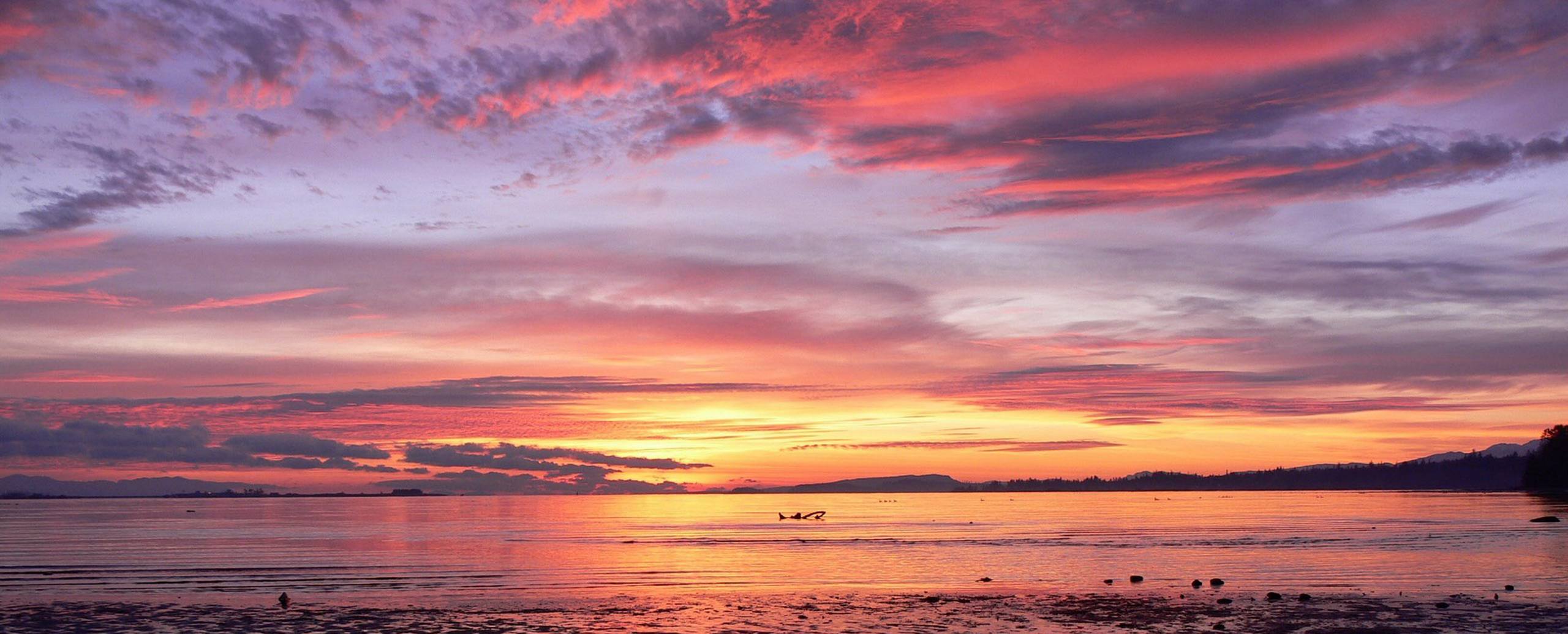 动漫日落城市壁纸高级版壁纸预览