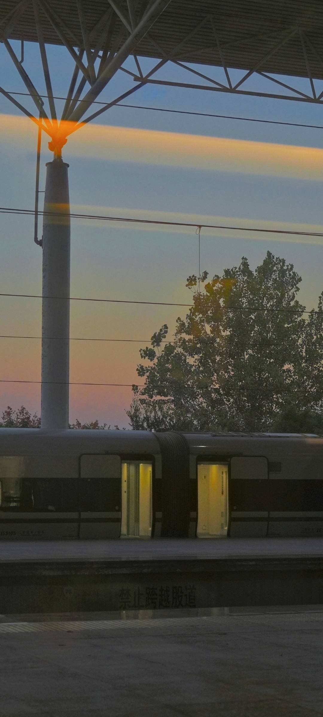 壁纸日落草原拍照姿势男壁纸预览