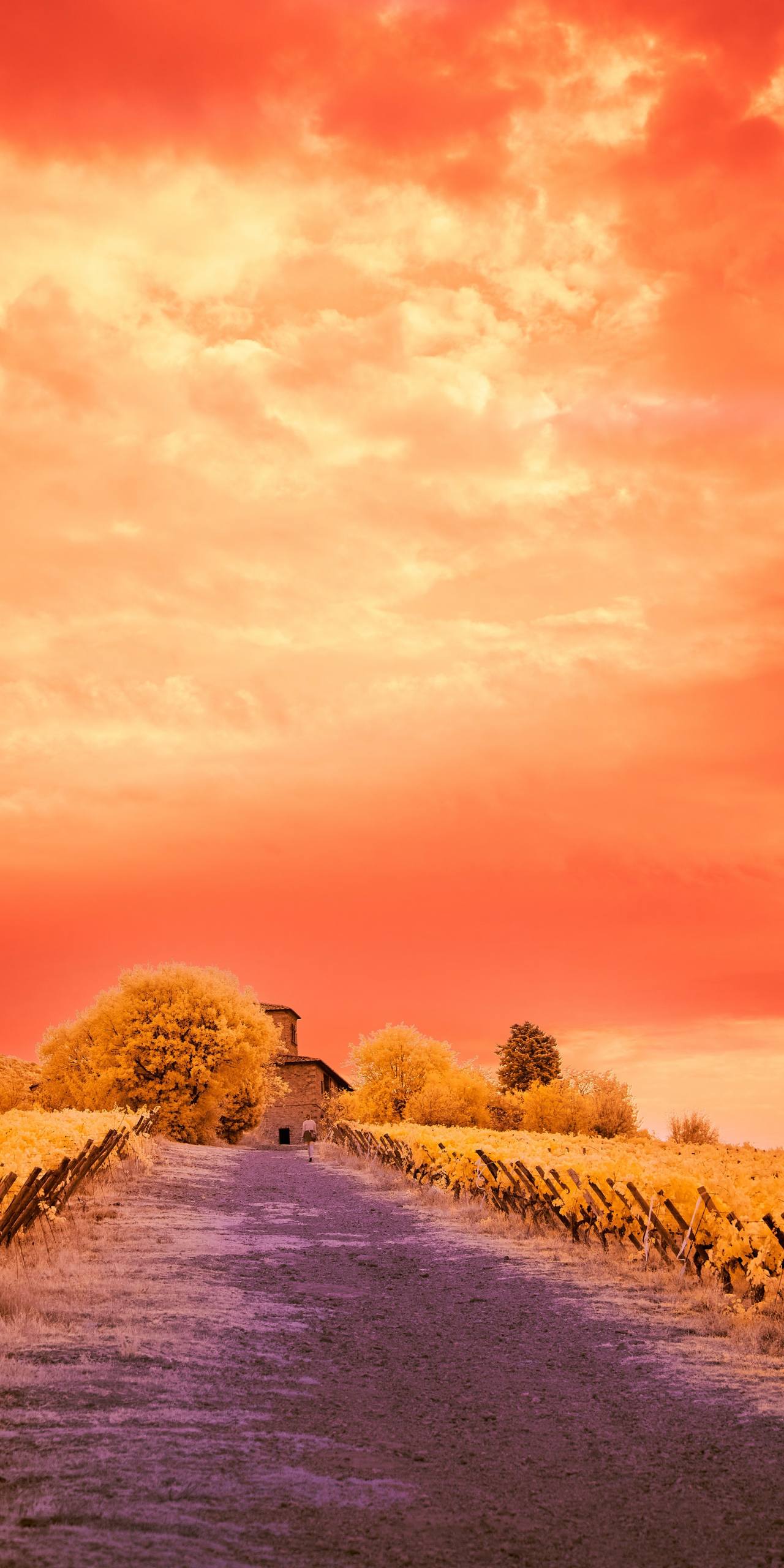 大海与日落的壁纸壁纸预览