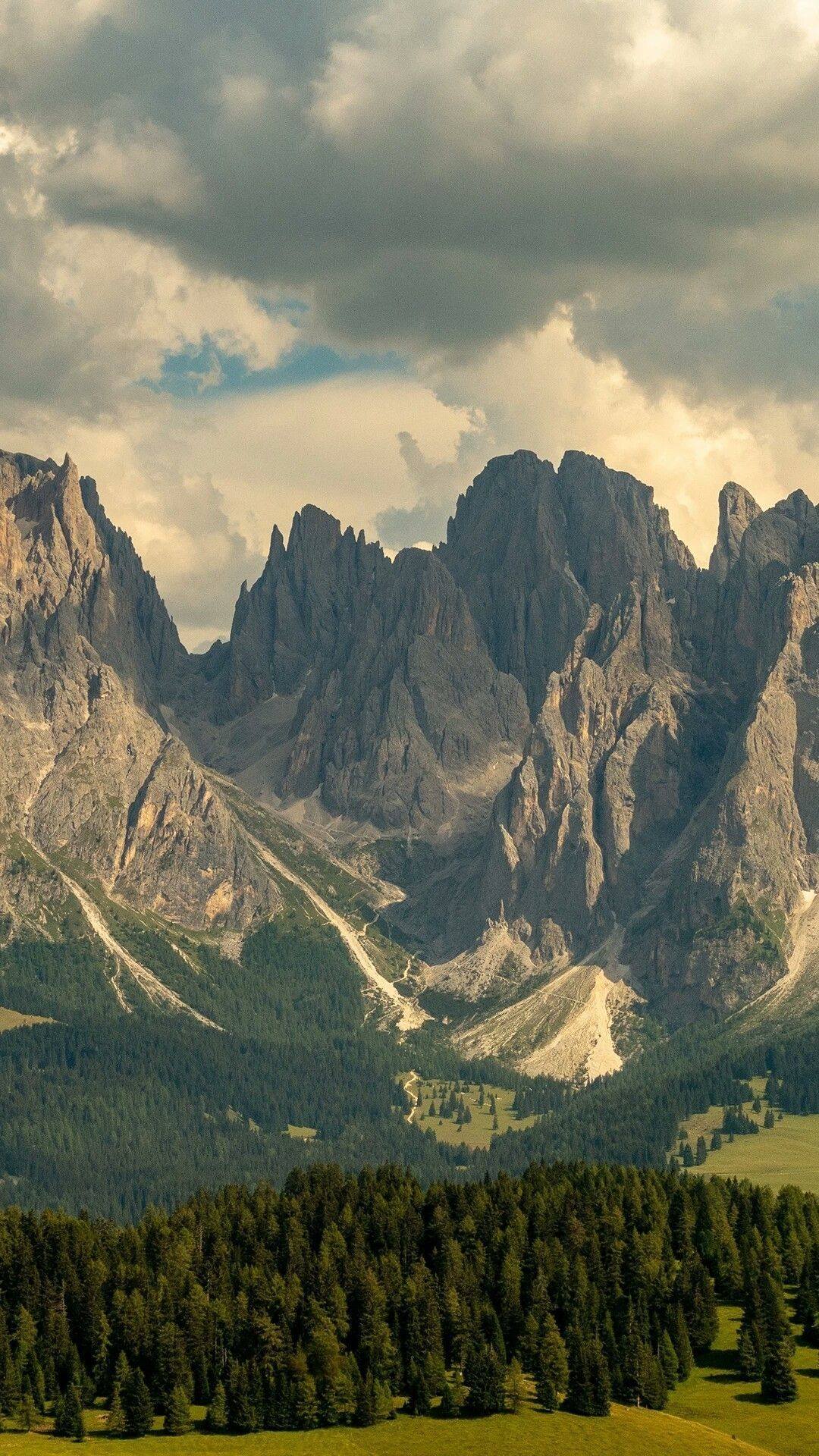 春日落花壁纸壁纸预览