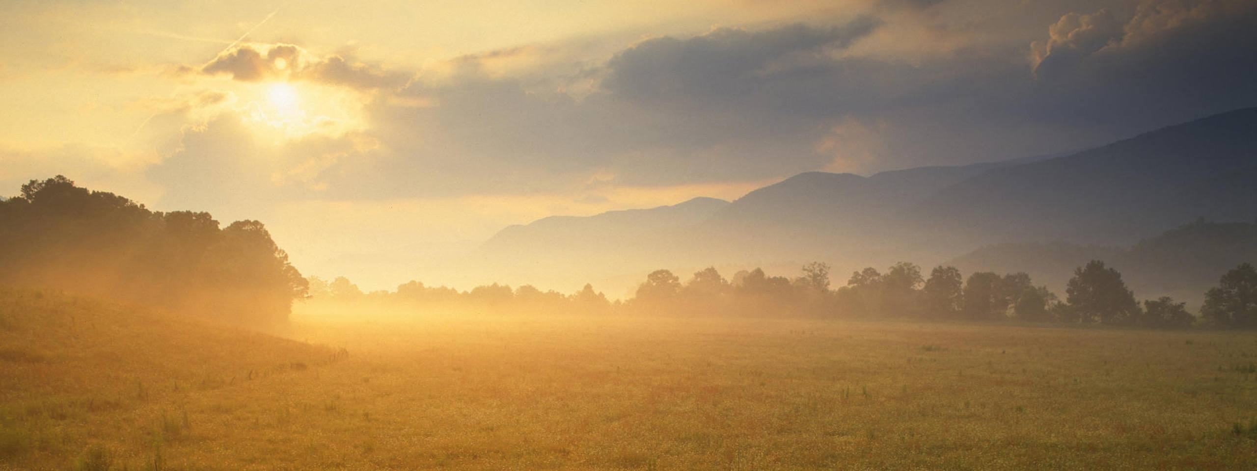洛杉矶风景壁纸日落壁纸预览