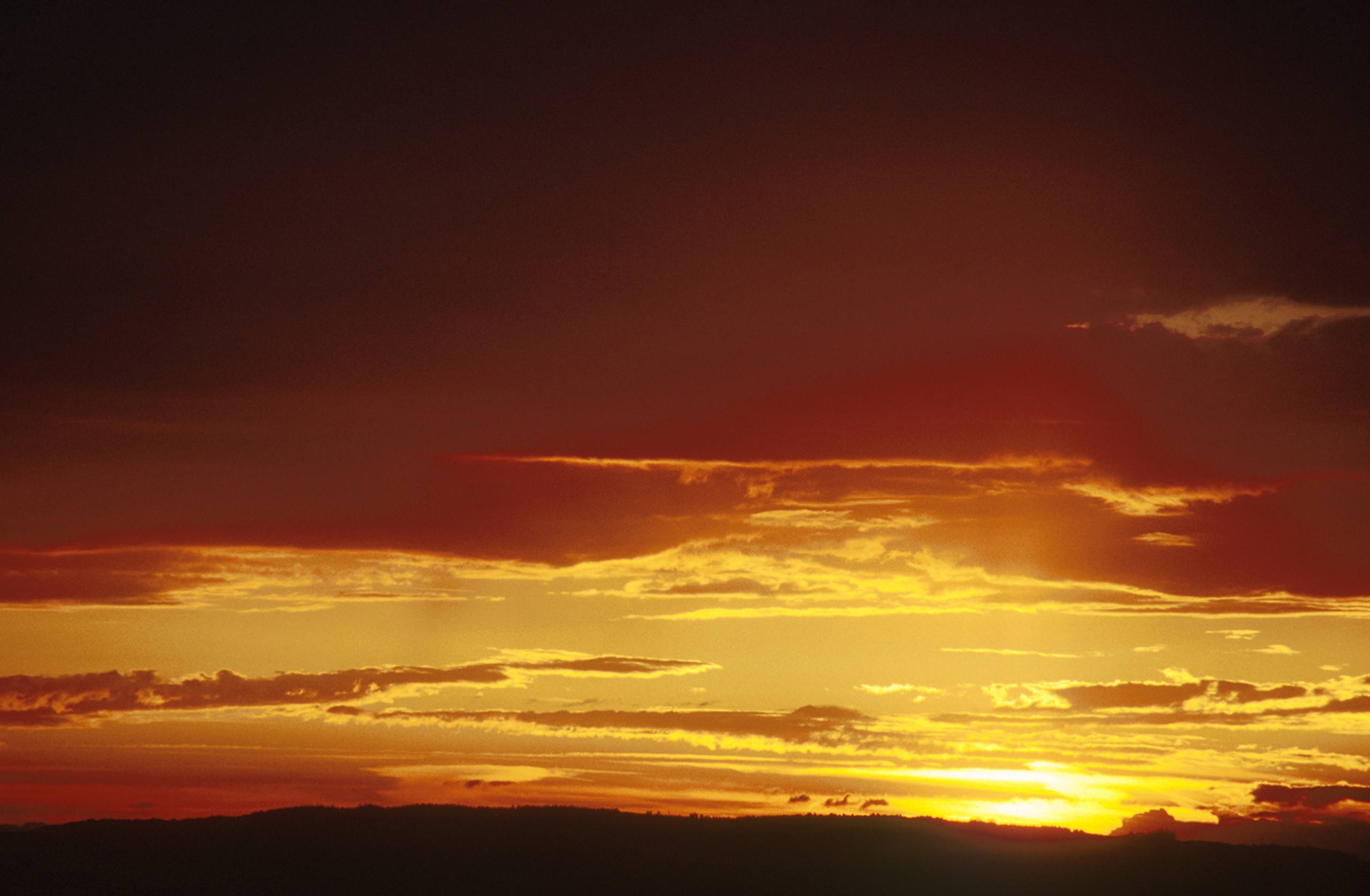 鬼灭之刃日落壁纸壁纸预览