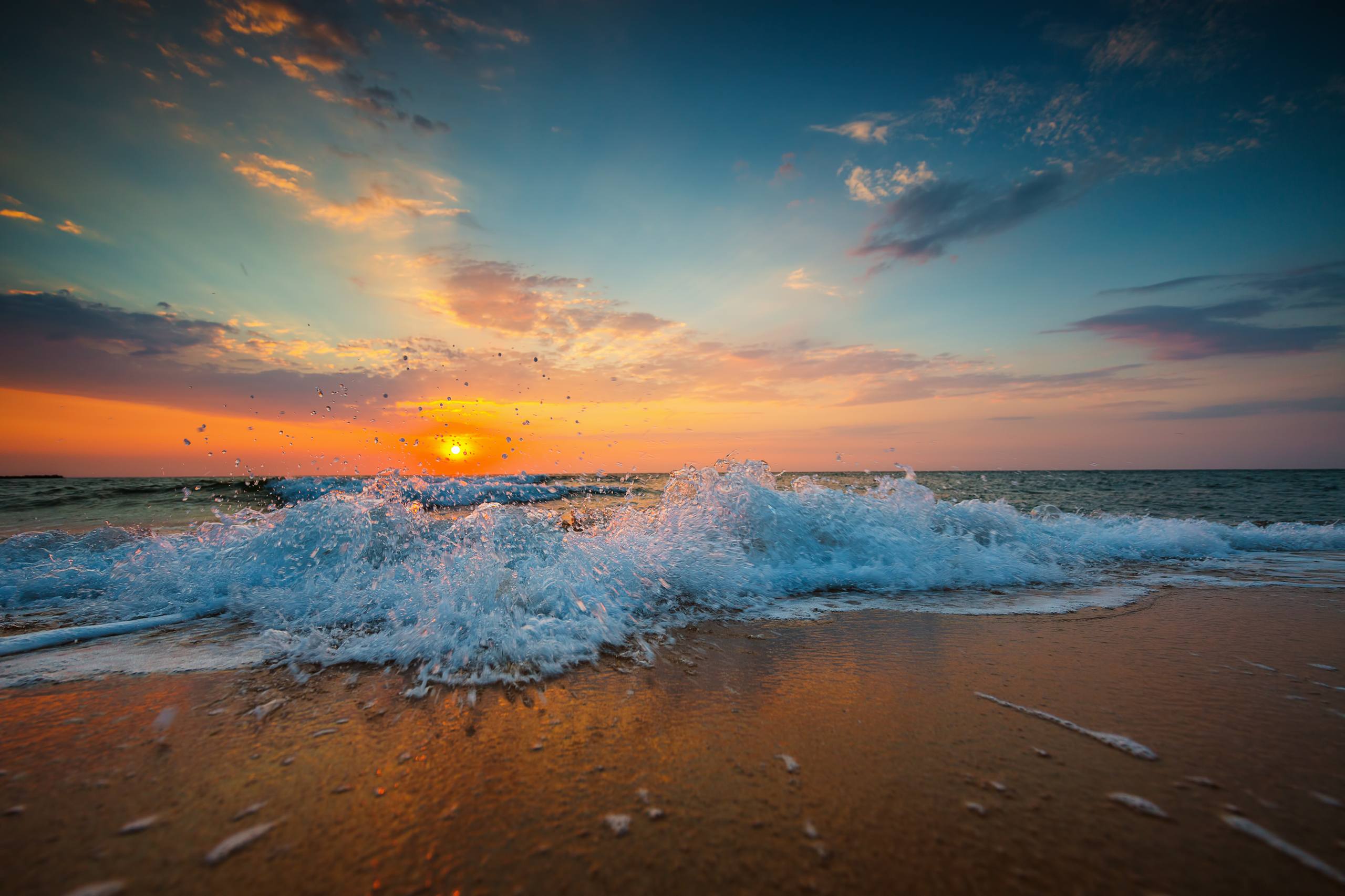 黄昏日落玫瑰高清壁纸壁纸预览